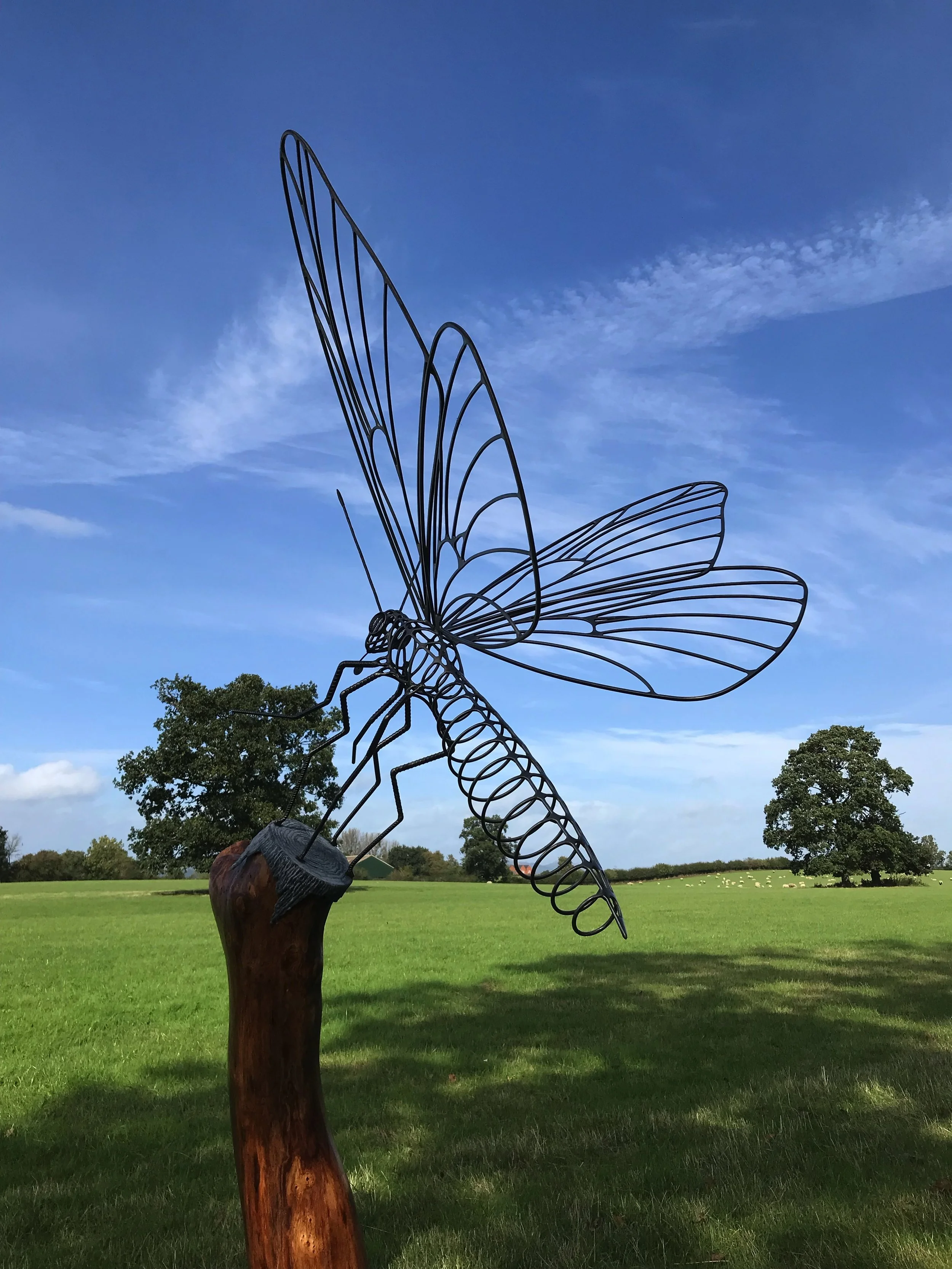 Dragonfly Forge Images April 2025 - 09.jpg