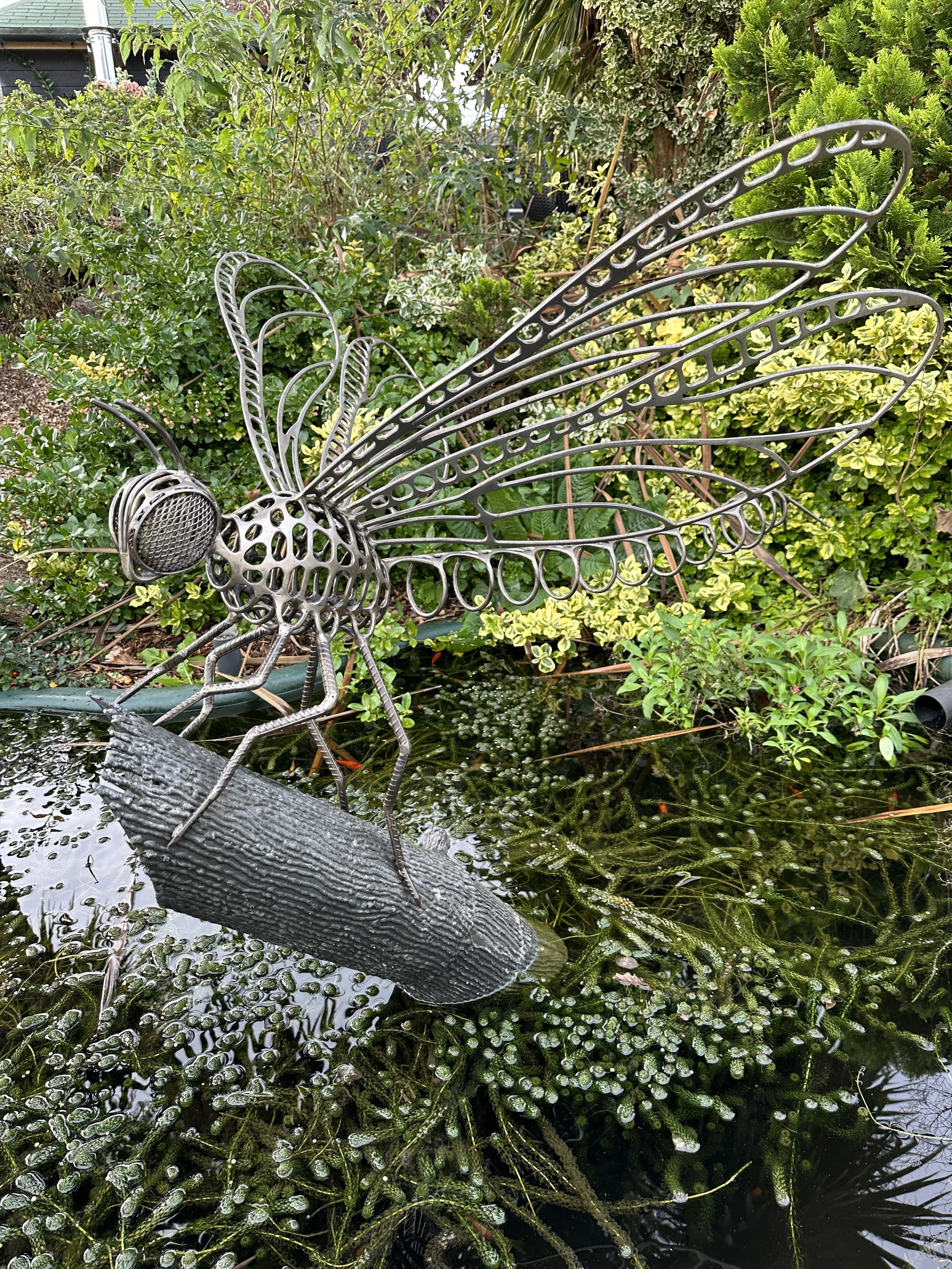 Dragonfly Forge Images April 2025 - 31.JPG