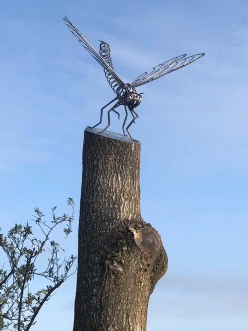 Dragonfly Forge Images April 2025 - 17.jpeg