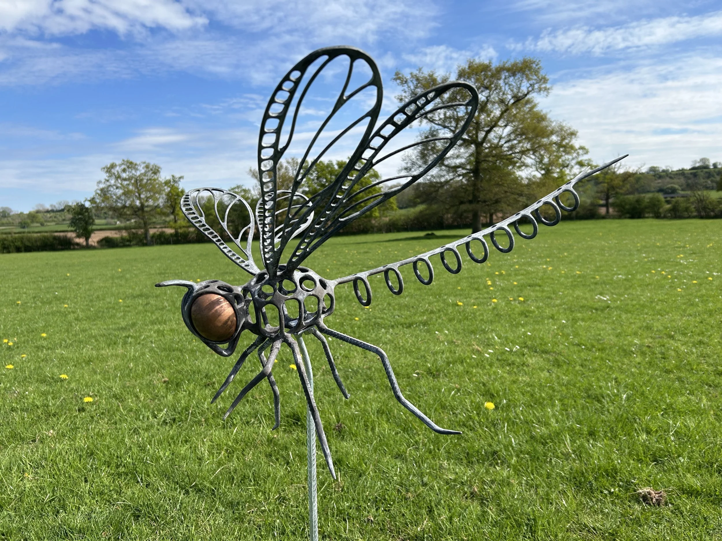 Dragonfly Forge Images April 2025 - 29.jpeg