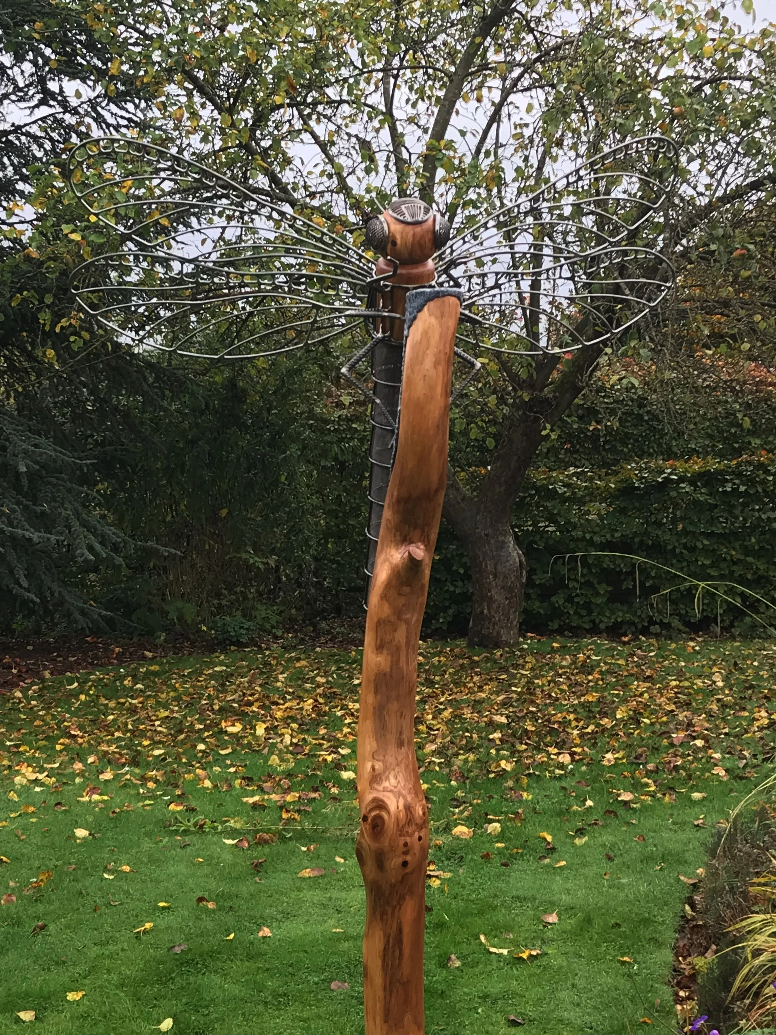 Dragonfly Forge Images April 2025 - 04.jpg