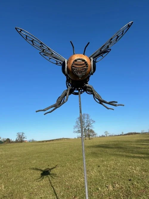 Dragonfly Forge Images April 2025 - 23.jpeg