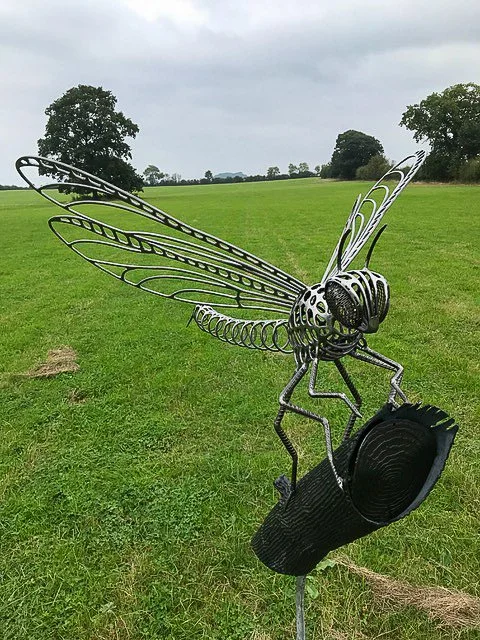 Dragonfly Forge Images January 2024 05.jpg