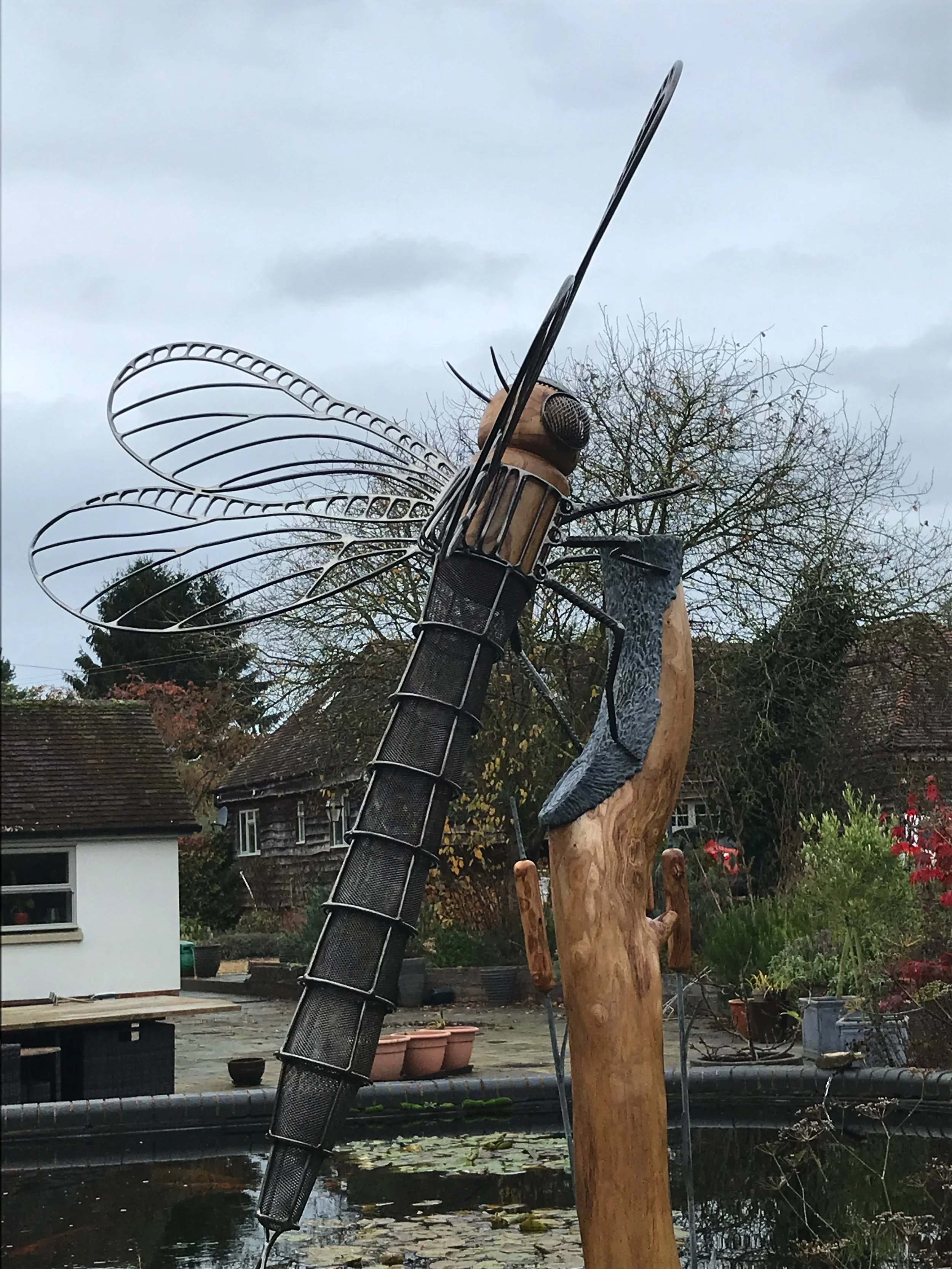 Dragonfly Forge Images April 2025 - 02.jpg