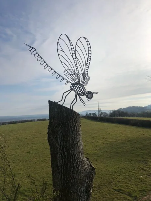 Dragonfly Forge Images April 2025 - 19.jpeg