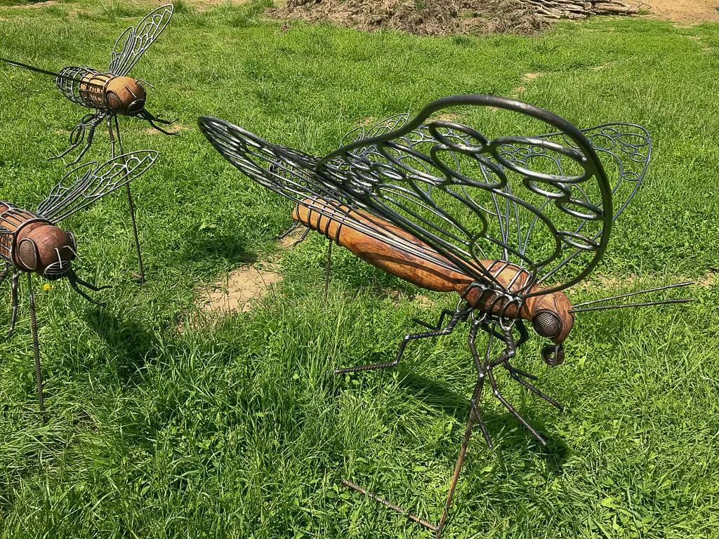 Dragonfly_Forge_23.jpg