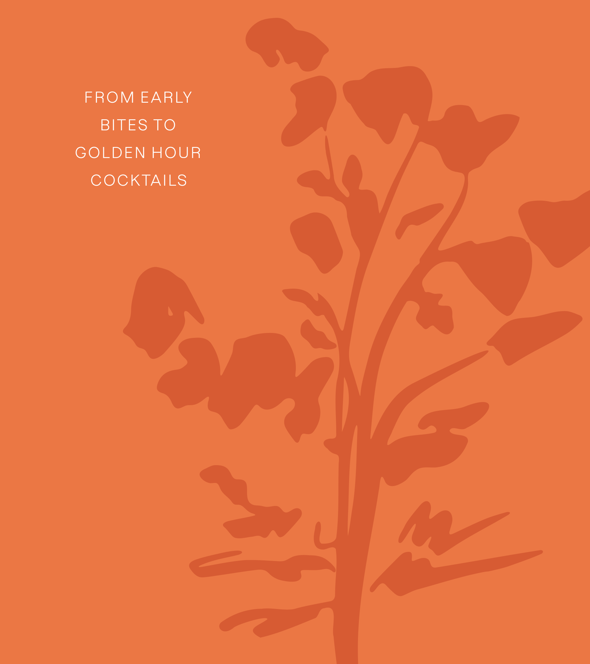 A vibrant orange brand graphic with botanical poppy silhouettes and text reading "FROM EARLY BITES TO GOLDEN HOUR COCKTAILS", used as a visual transition element in restaurant website design.