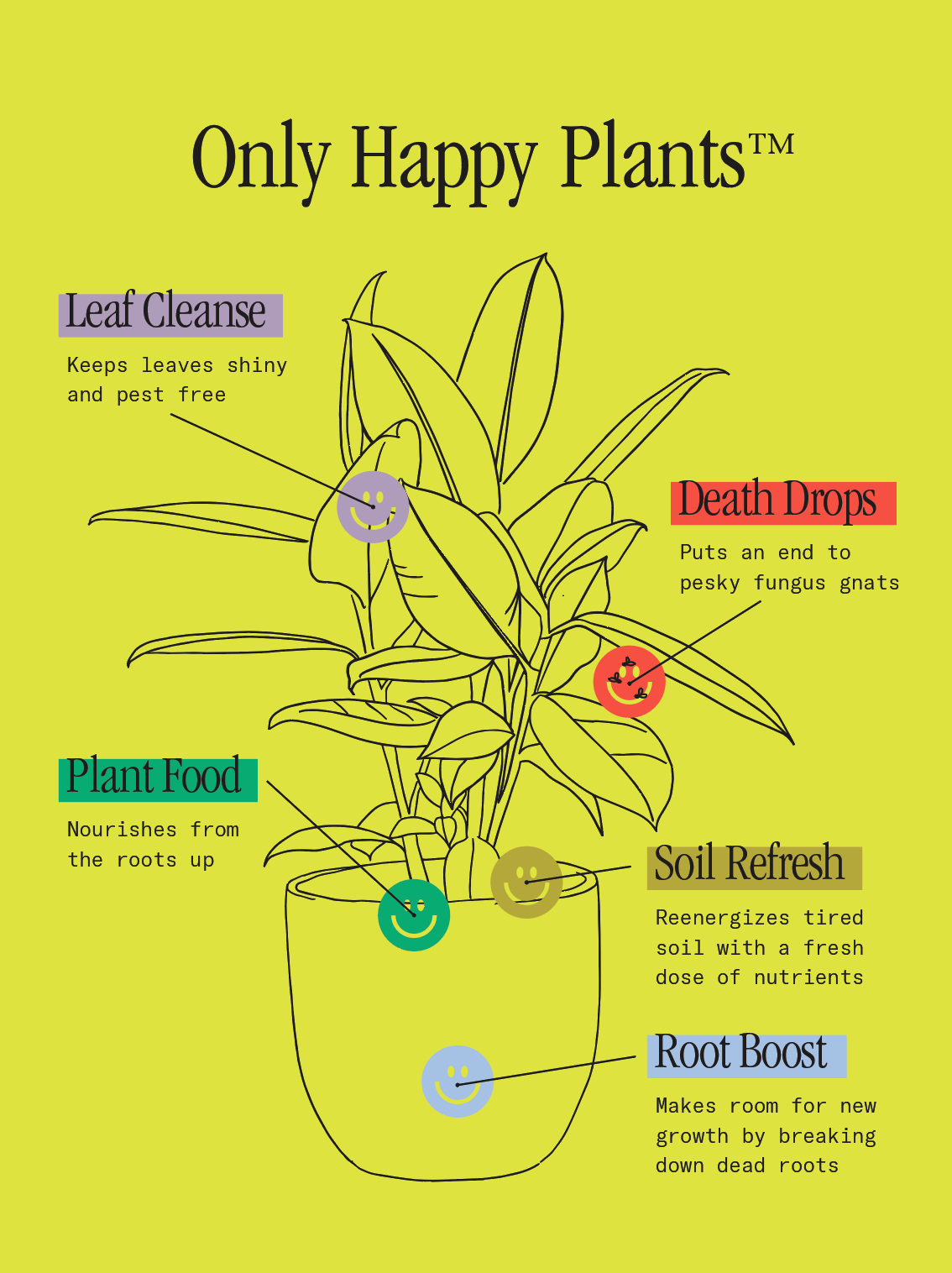 Screenshot 2026-02-02 at 4.28.53 PM.png