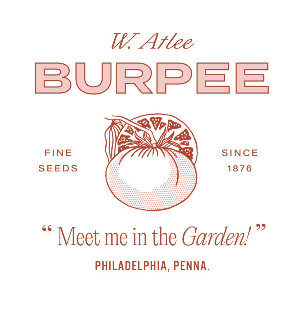 Screenshot 2026-02-04 at 2.35.23 PM.png