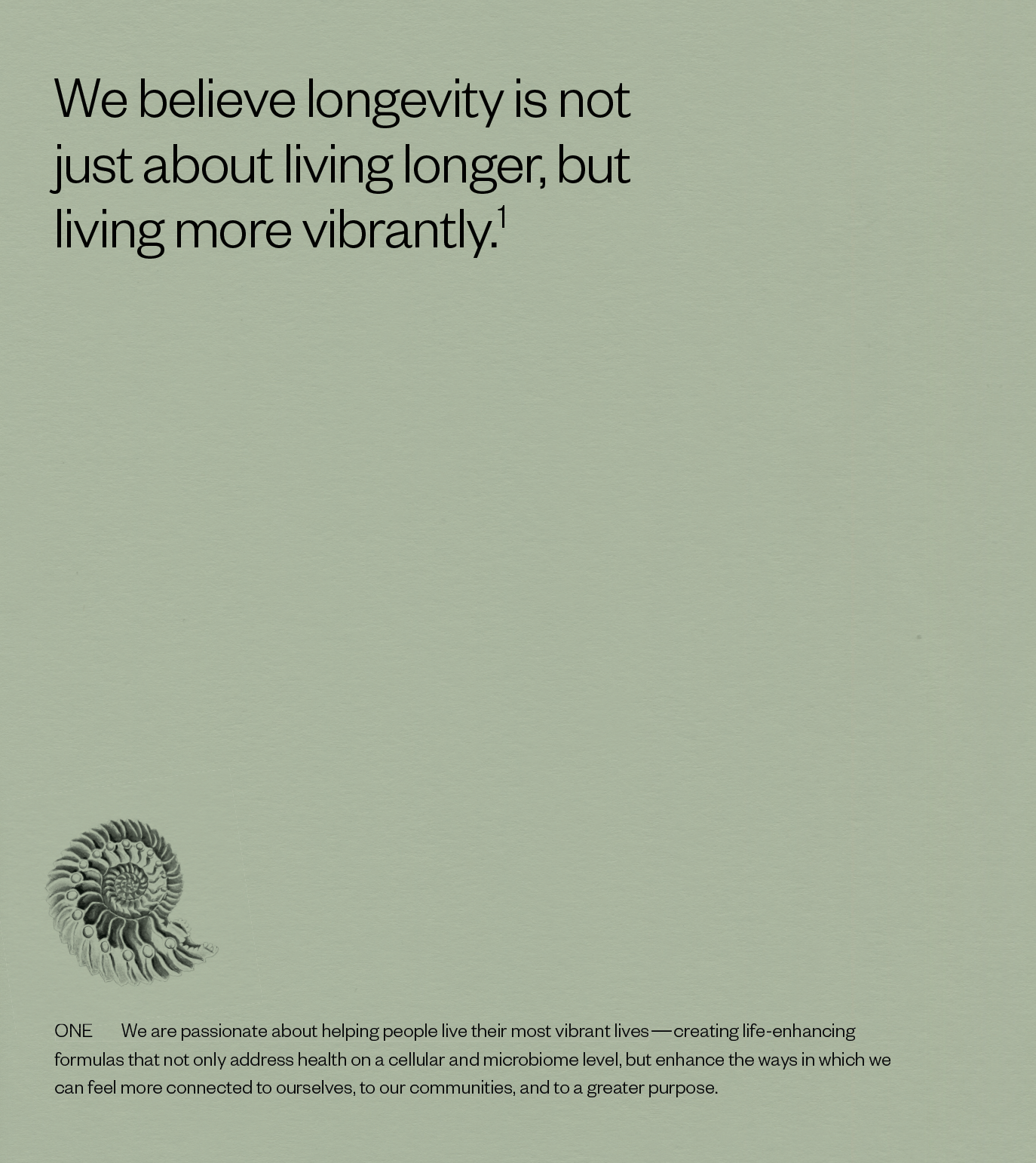 Screenshot 2026-02-02 at 4.40.12 PM.png