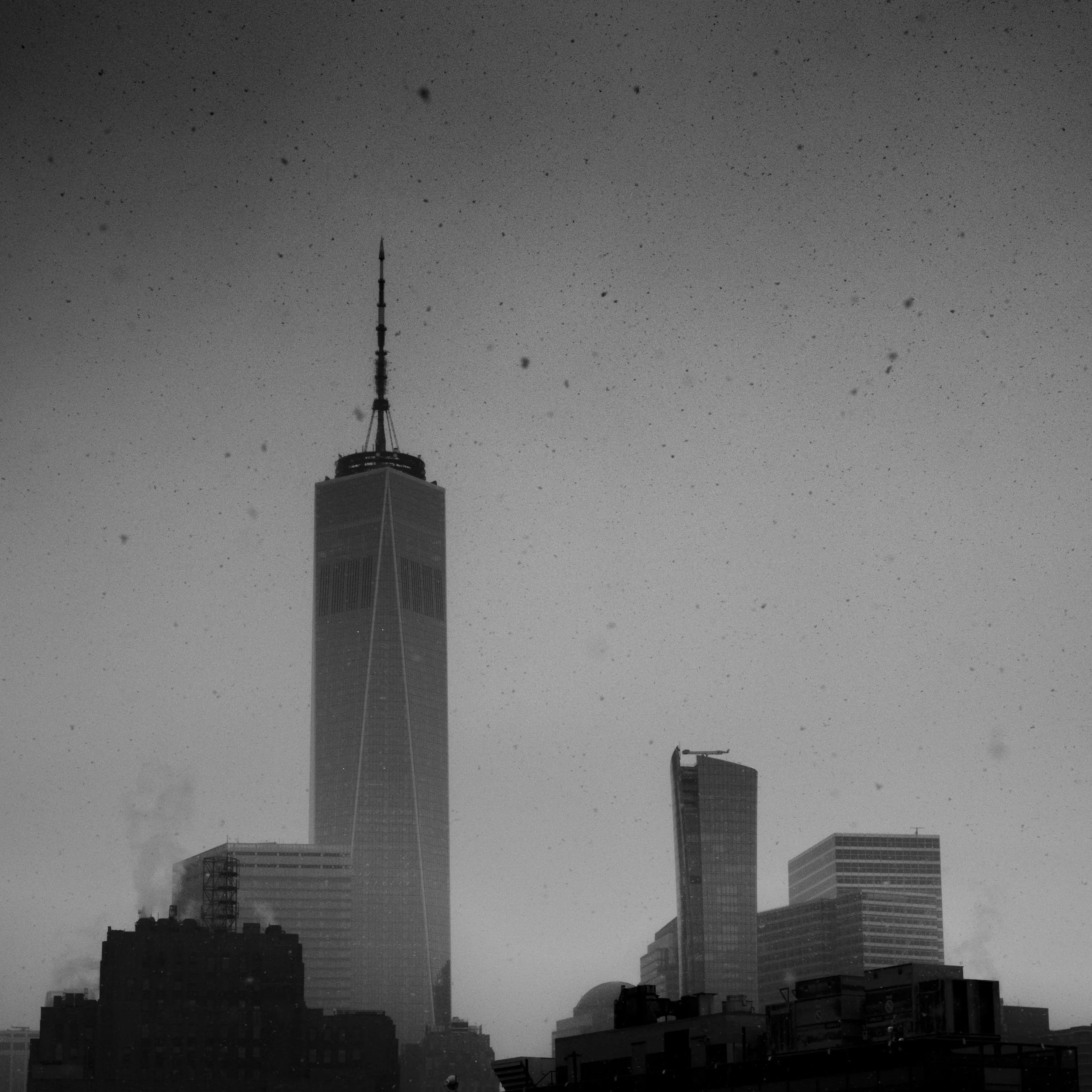 January Snow, New York, New York, 2025