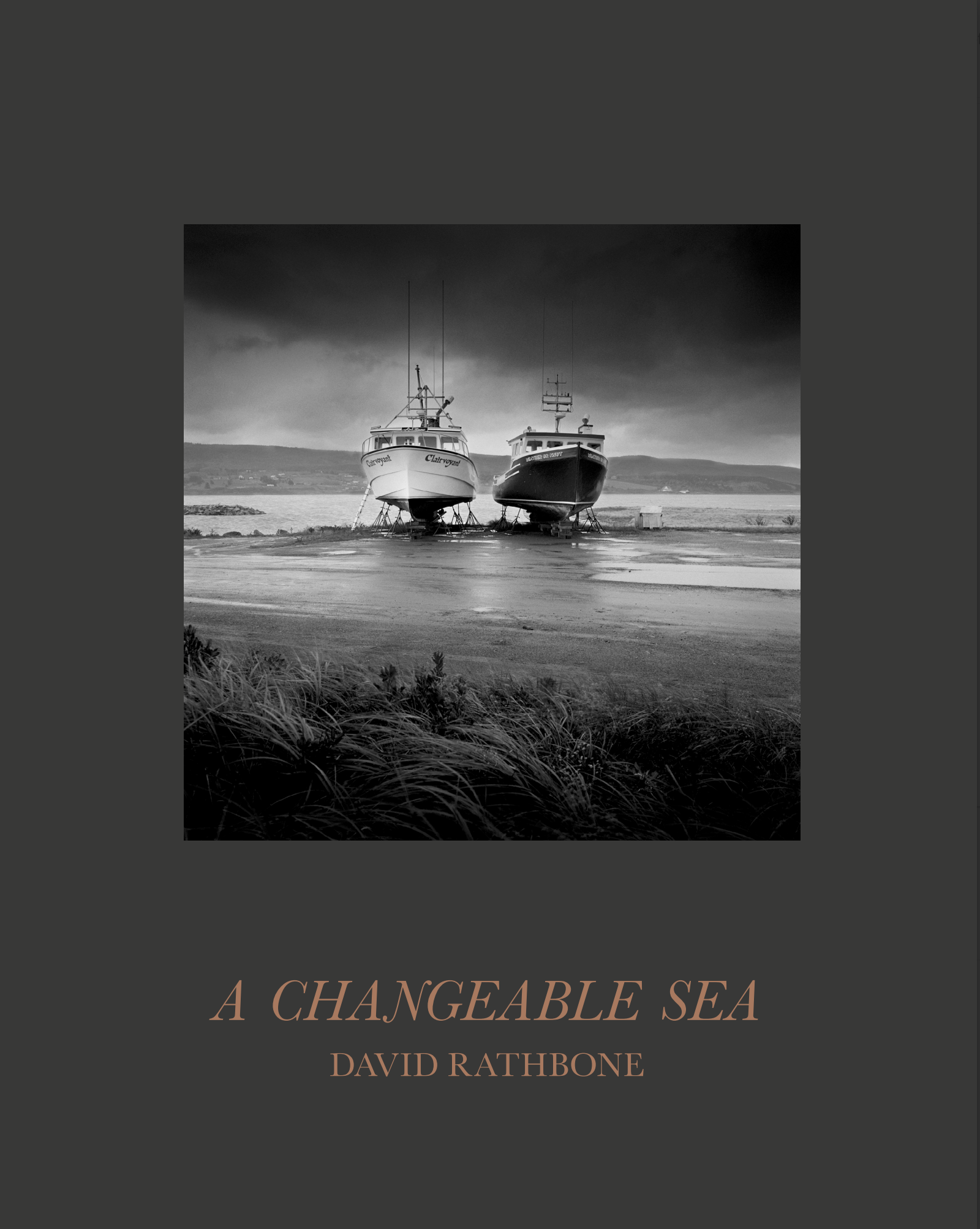 New Book Coming Soon!