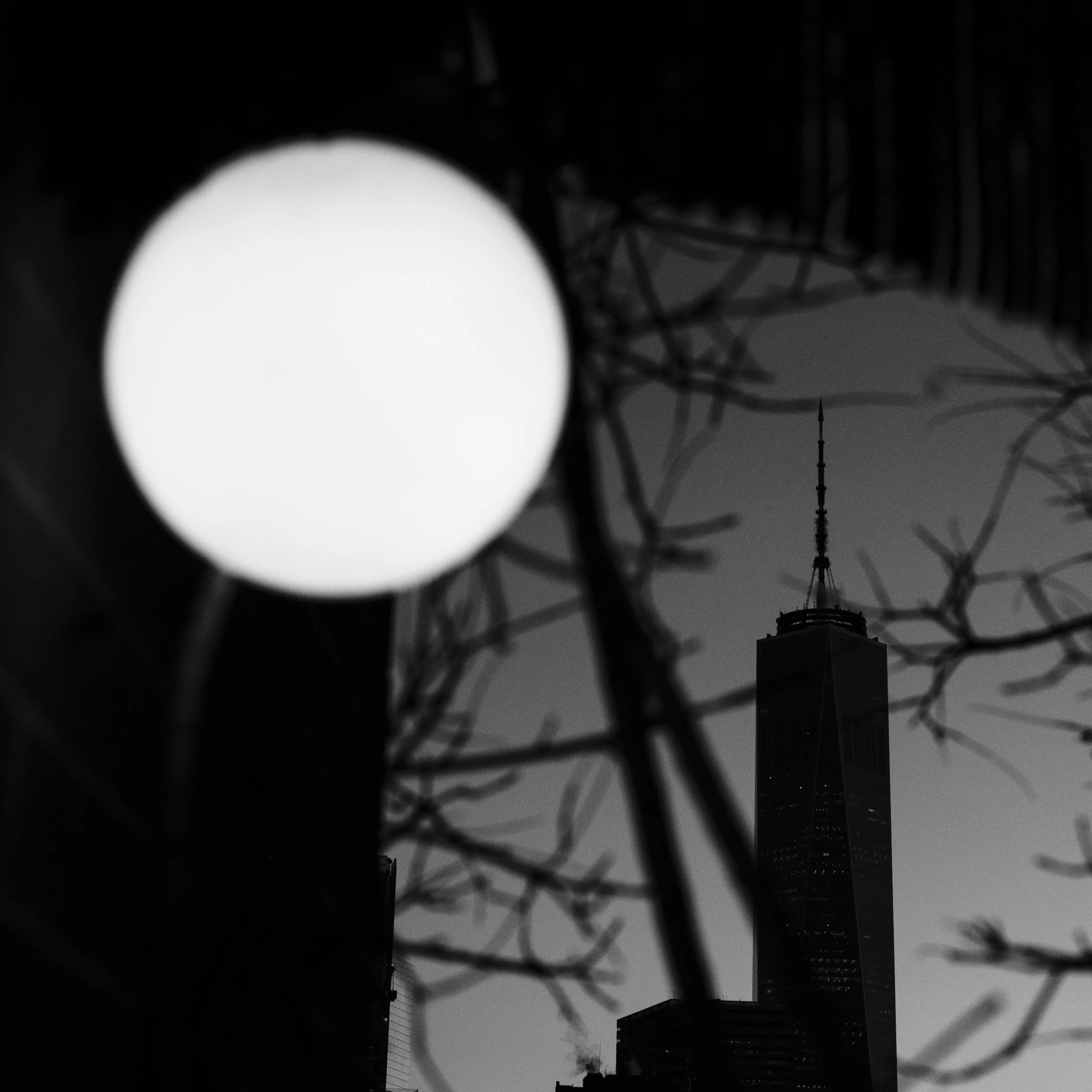 DSCF3452.JPG