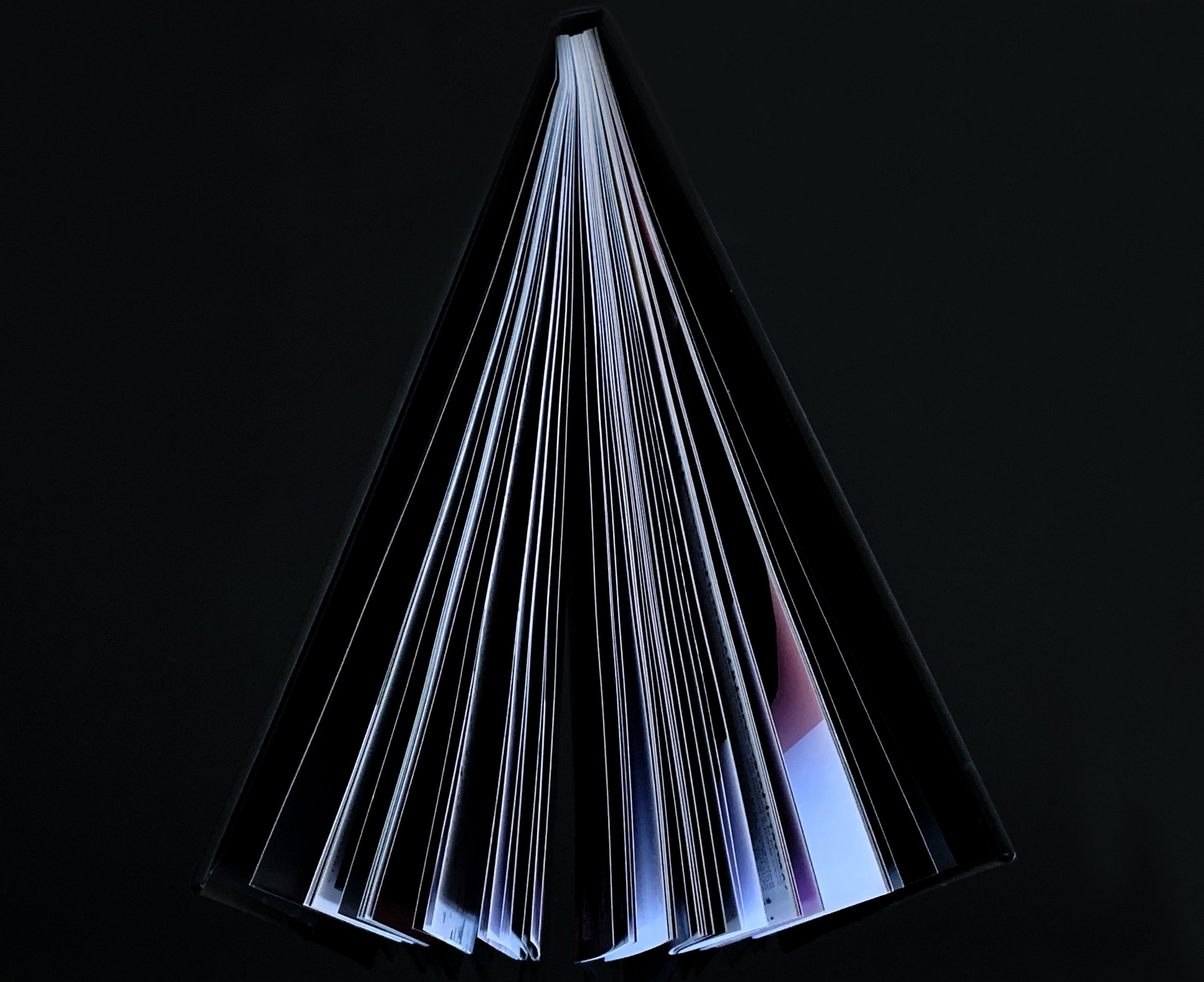 VISIONAIRE 4.jpg