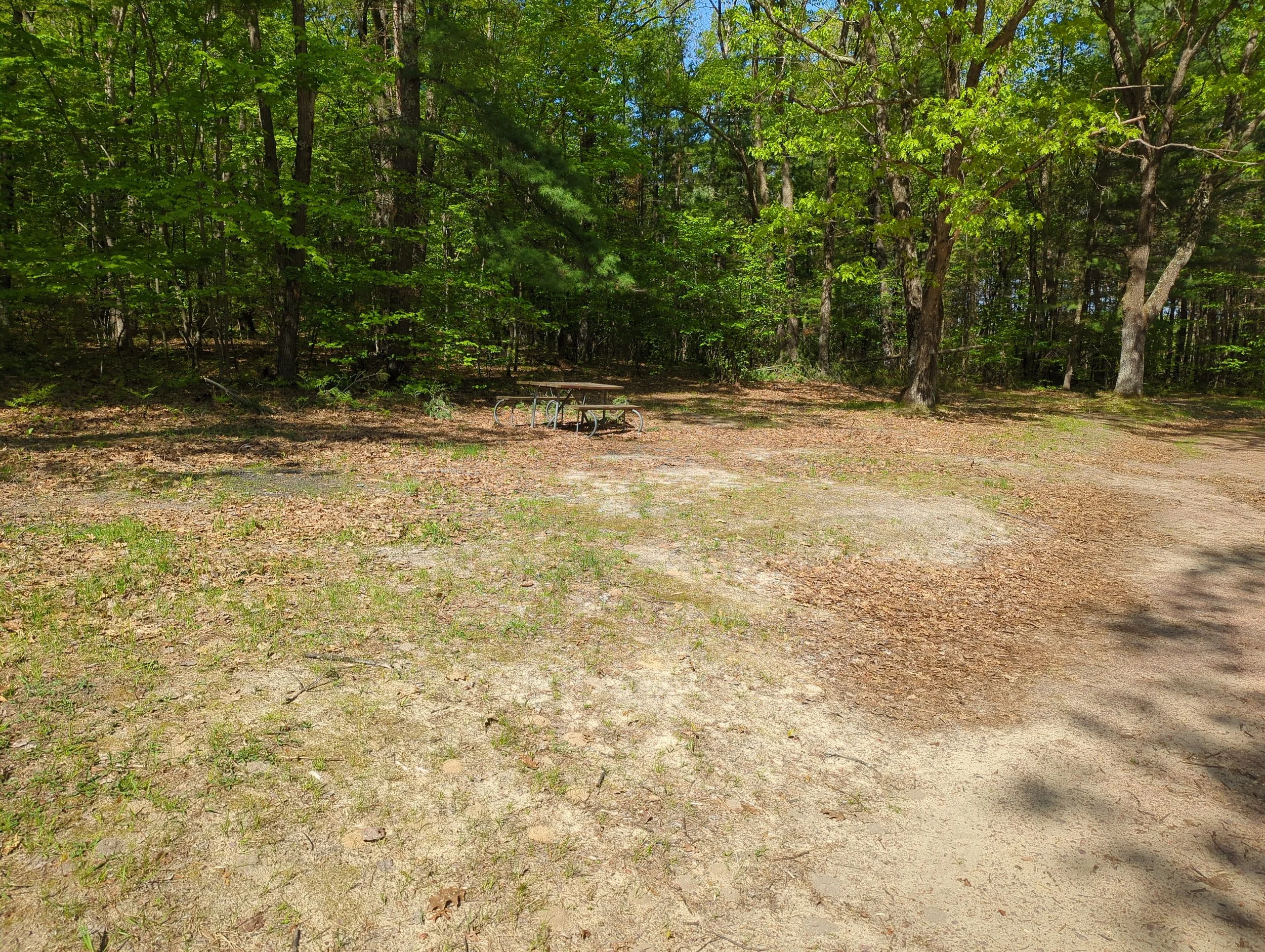 Wildcat Campground, Humbird, Wisconsin Review —