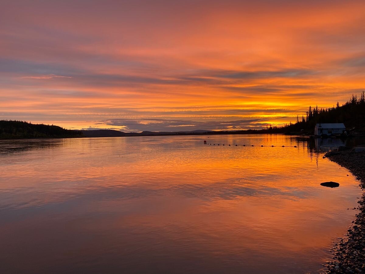 Fall has came to this country and this season by far my favorite and busiest . The weather and change of color , which gives the land a rugged beauty to it . #alaska#yukonriver#fall#huntingseason#subsistance#yukonrivercamp#arcticcircle#fairbanks#expl