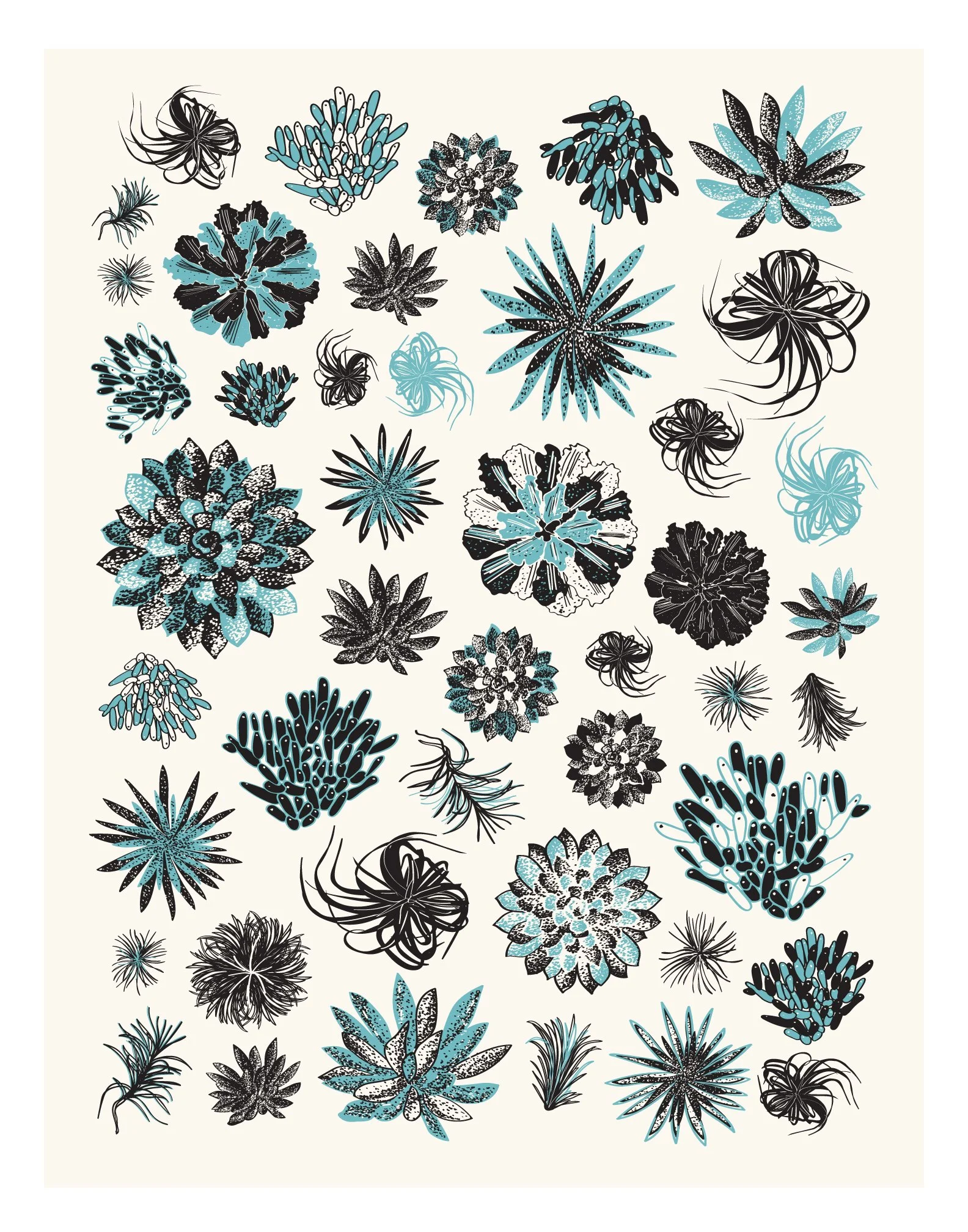 succulents-print-color.jpg