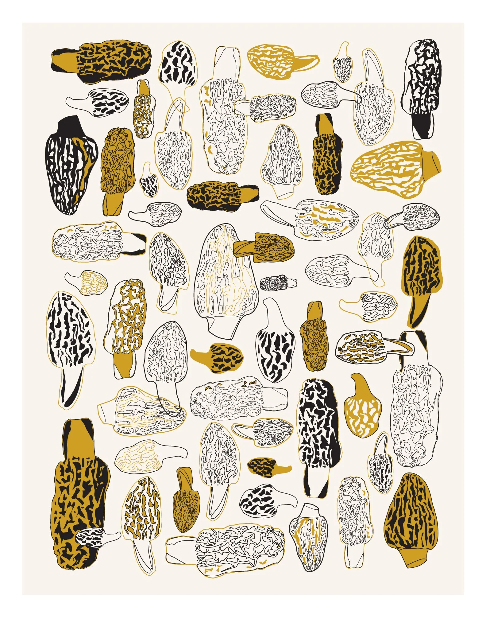 morels.jpg