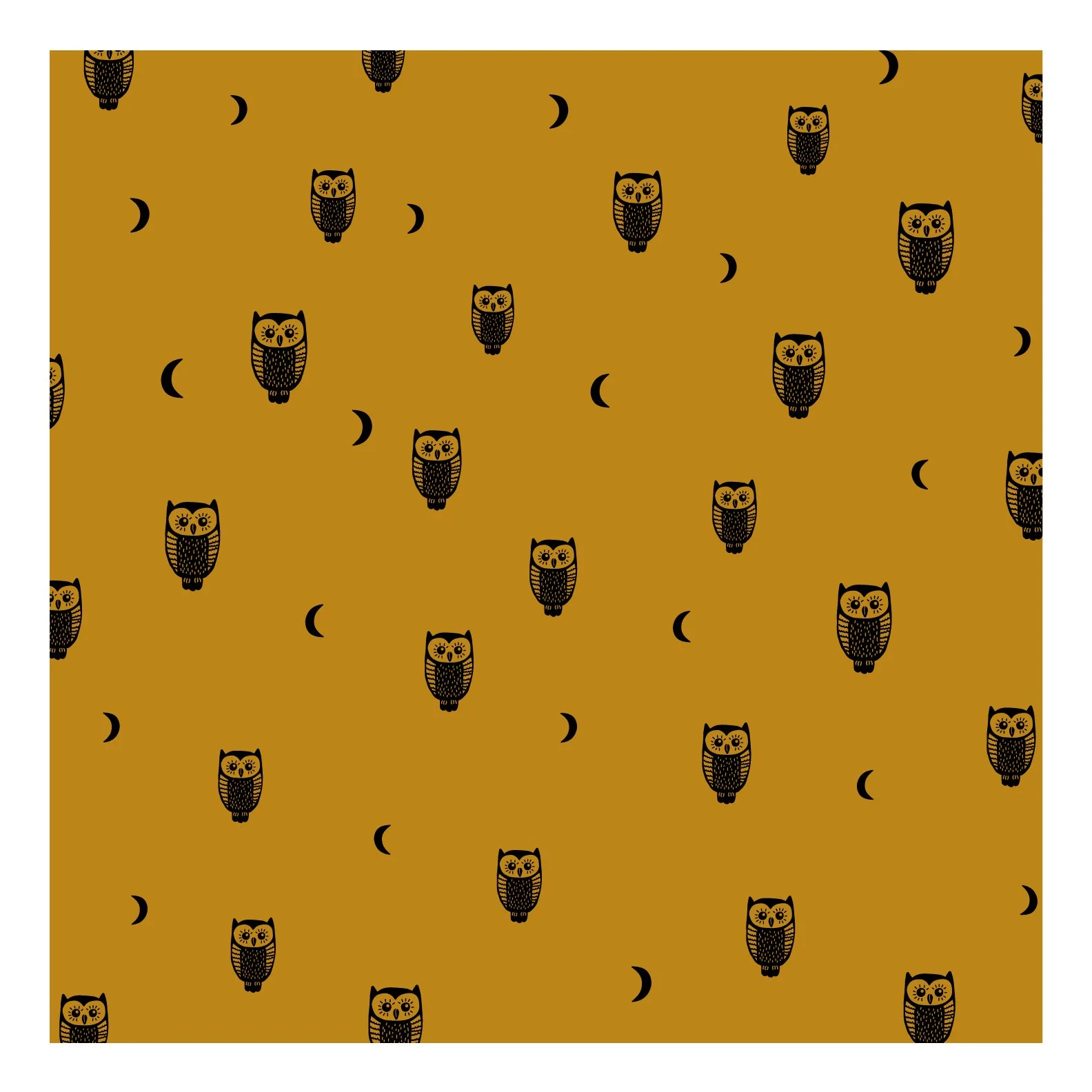 Owl.jpg