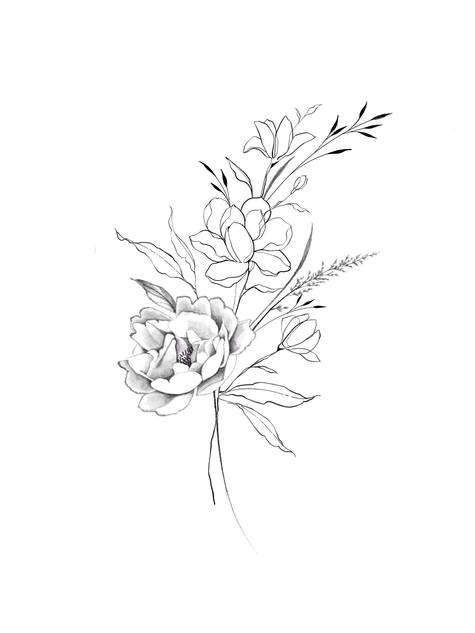 Image JPEG-4127-BCED-7E-0.jpeg