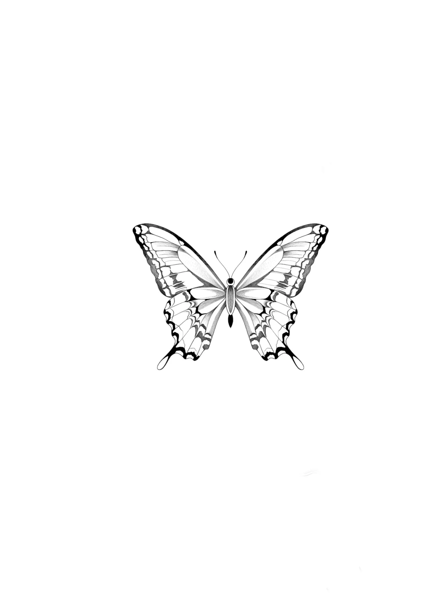 Image JPEG-43D7-A332-0E-0.jpeg