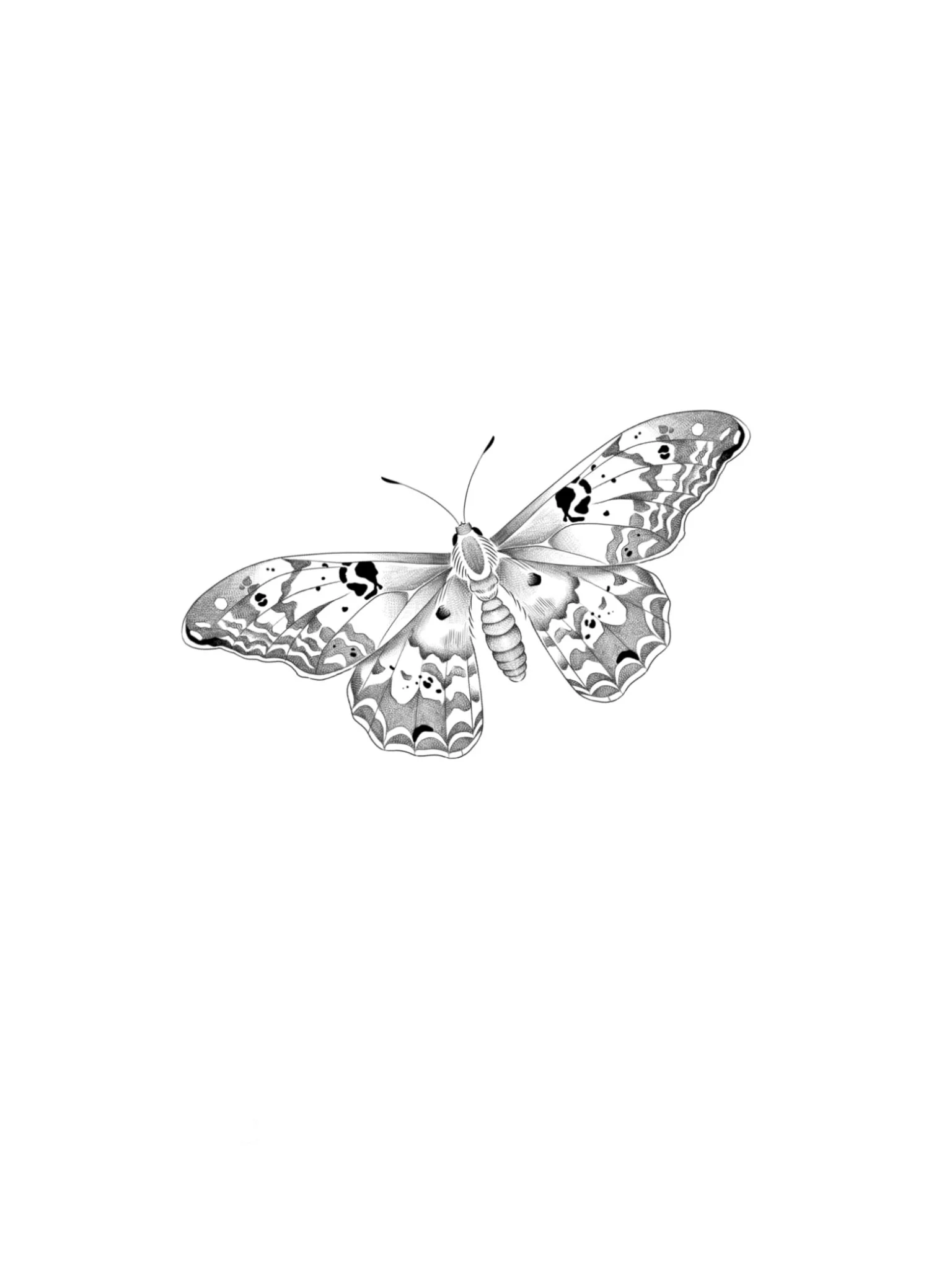 Image JPEG-4304-8E79-22-0.jpeg