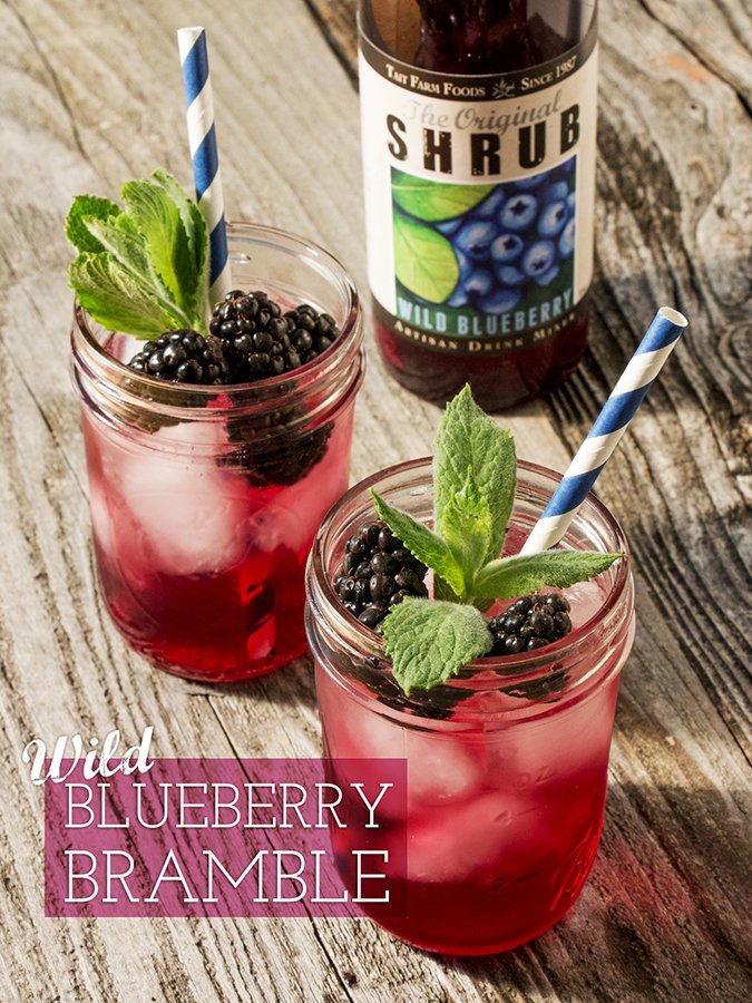 Wild Blueberry Shrub Bramble