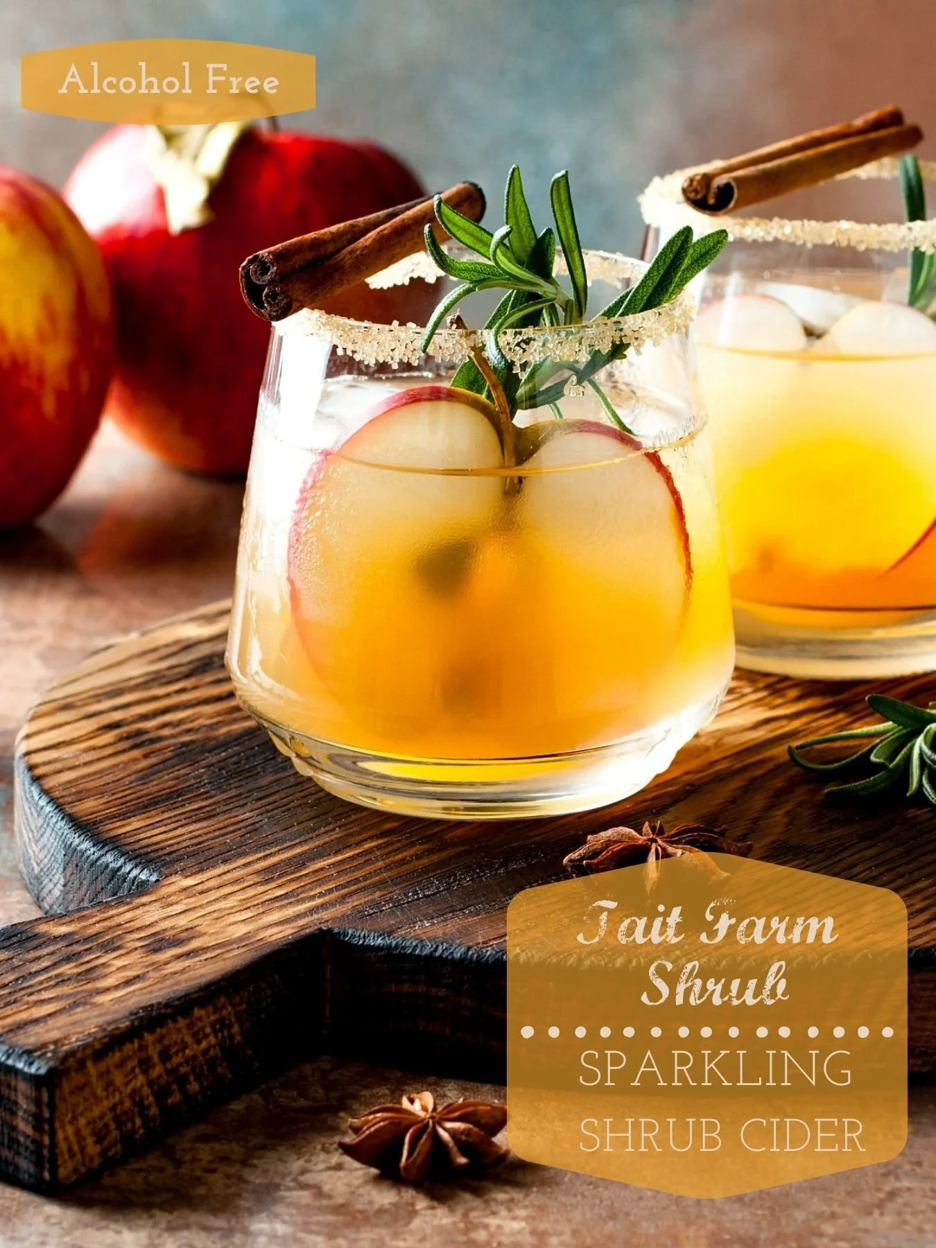NonAlcoholic Shrub Drinks — Tait Farm Foods