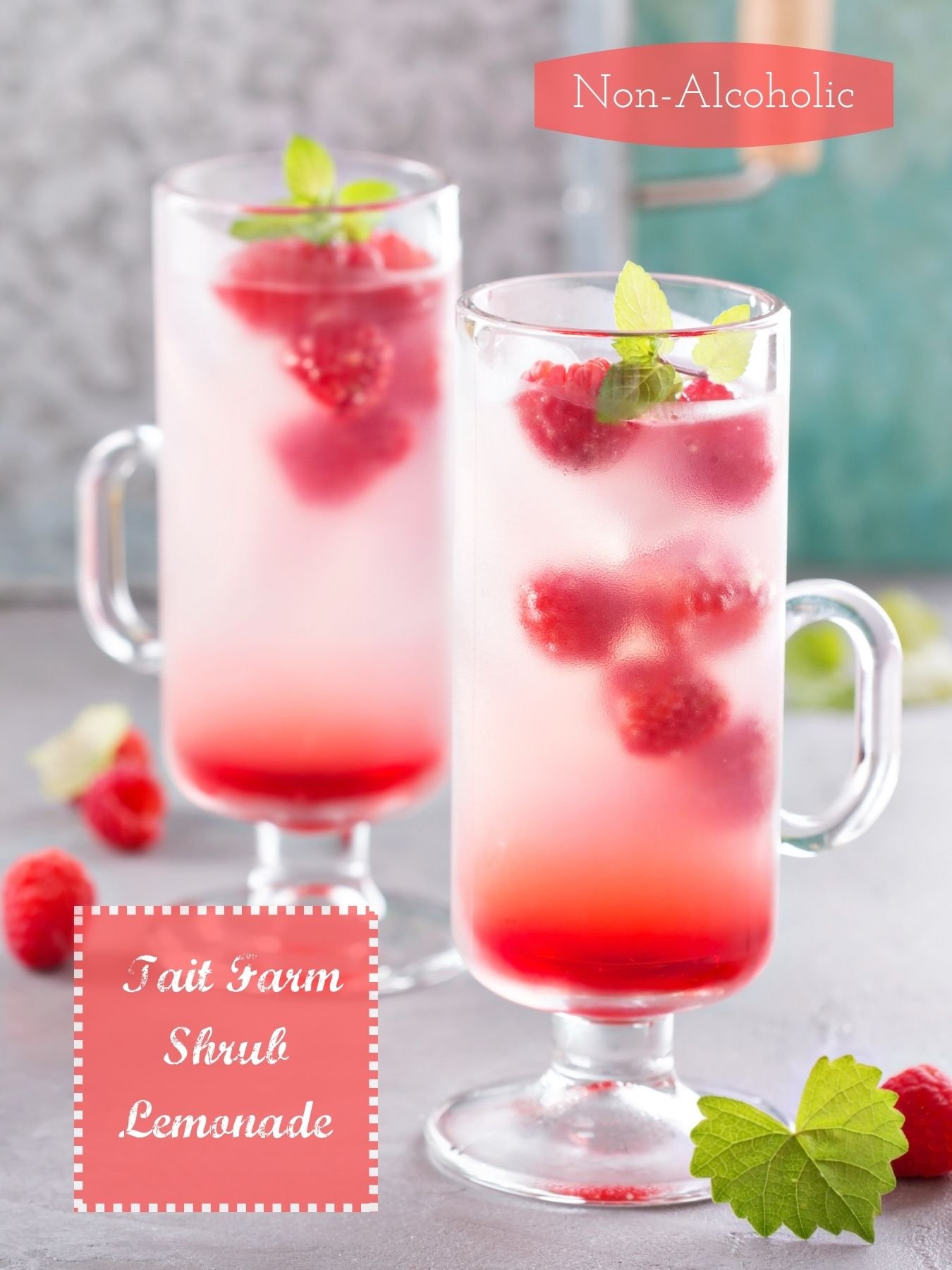 NonAlcoholic Shrub Drinks — Tait Farm Foods
