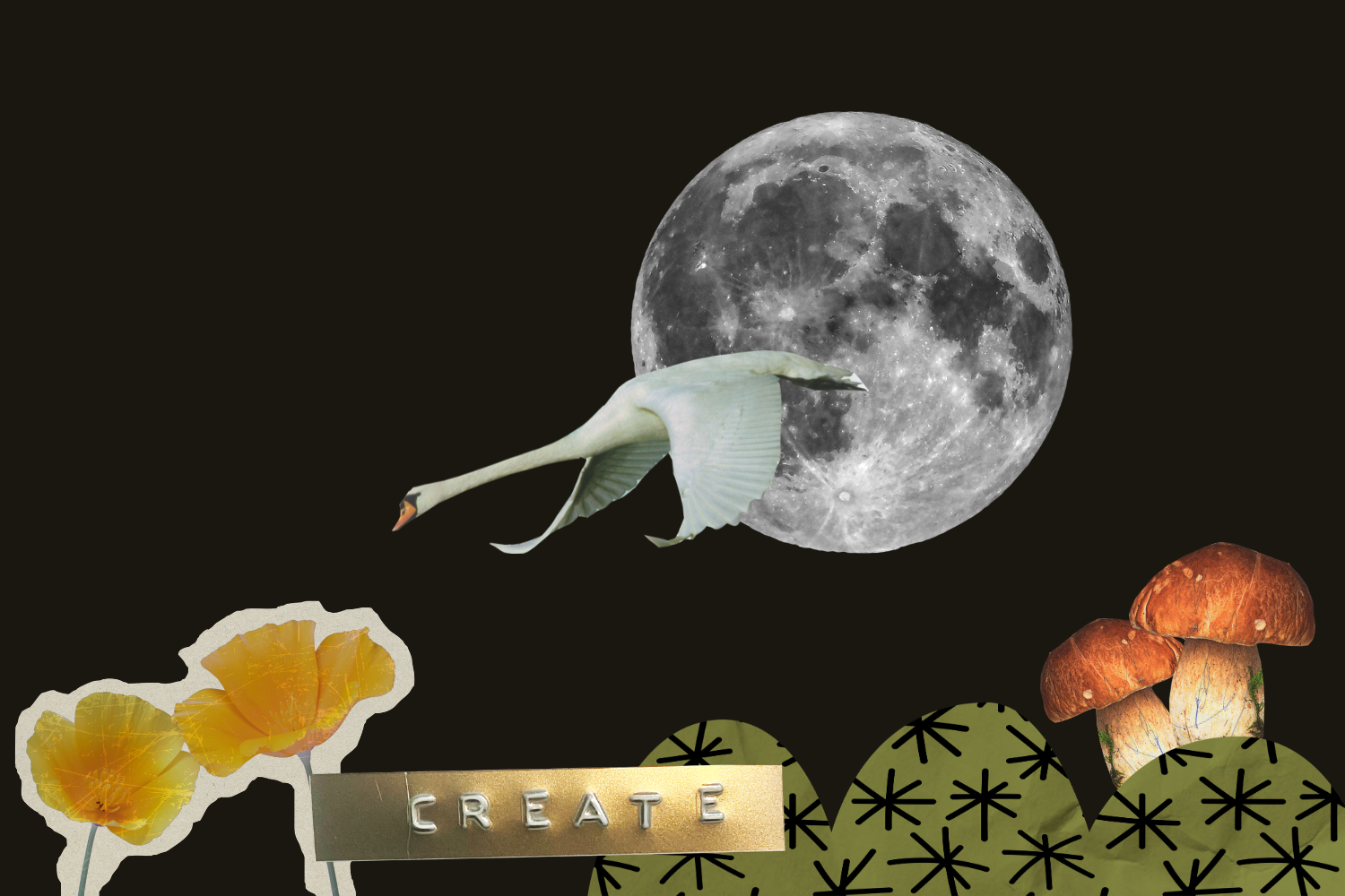 Wild Moon Collage Night
