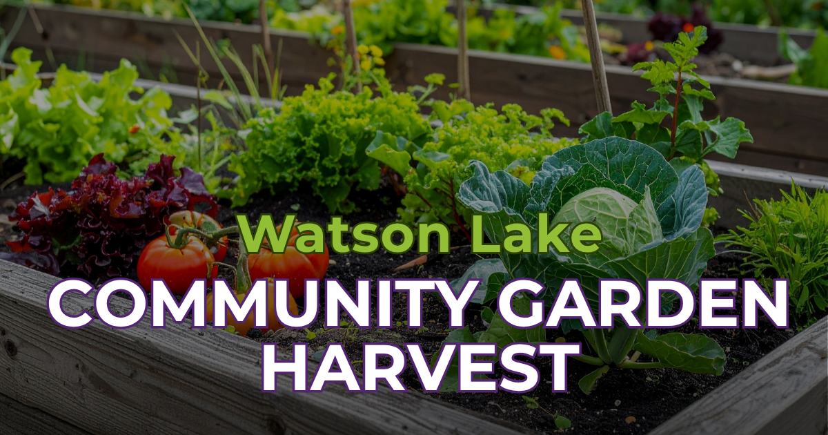 Community Garden Harvest Day 