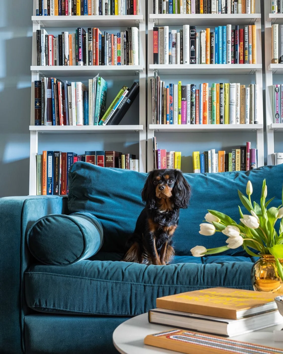 Should she come to all photoshoots? 🐶⁠
⁠
📸 @heidi.solander⁠
⁠
#interiordesign #interiordesigner #ashleymanfreddesign #homedesign #homedecor #interiorinspo #homeinspo #interiorstyling #interiors #nydesign #newyorkdesign  #luxeathome #myhousebeautifu