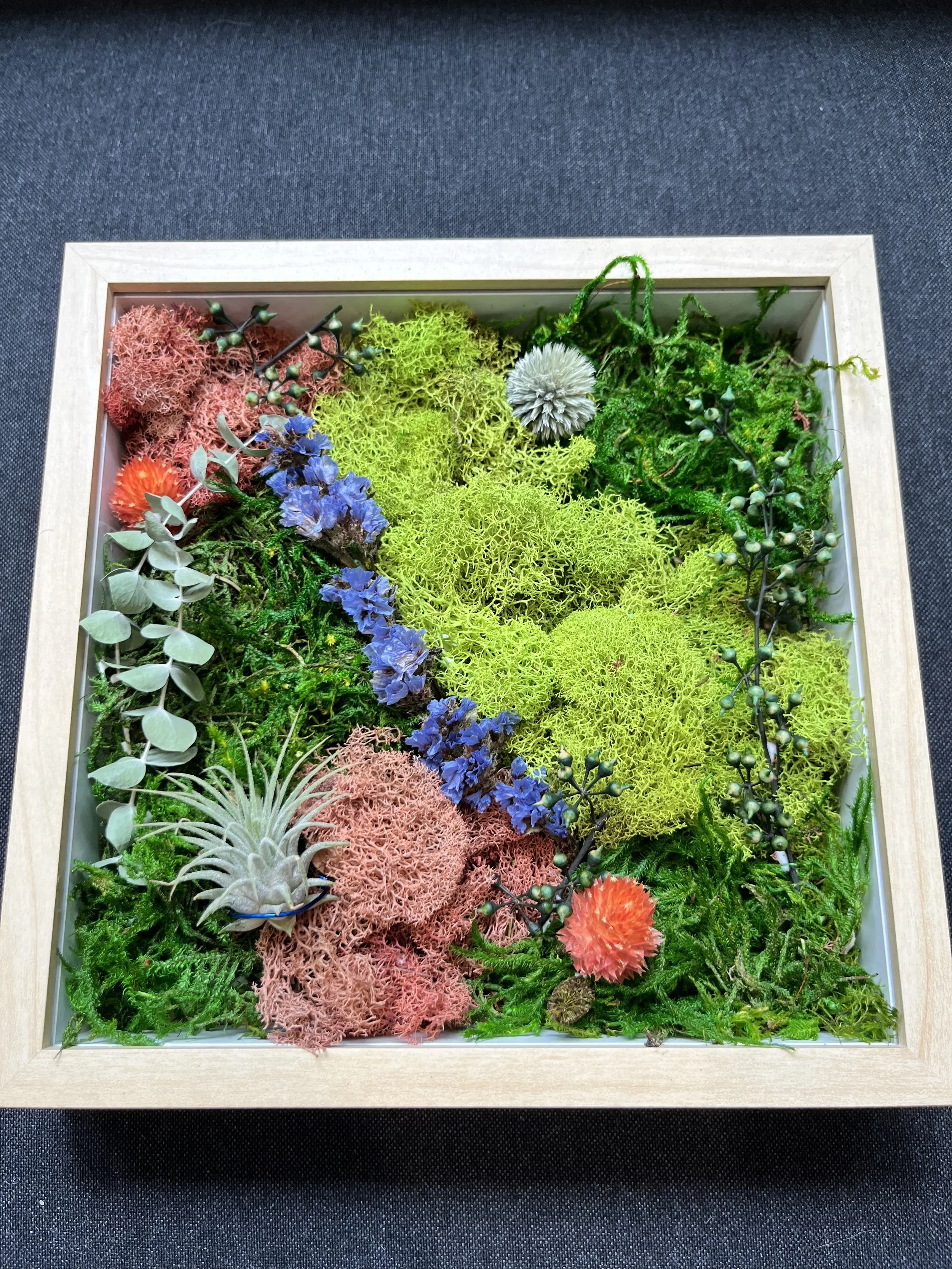 Lemon Garden's Valentine's Day Moss & Air Plant Workshop