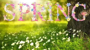 Spring Has Arrived in Thurston County — Here's How to Make the Most of It