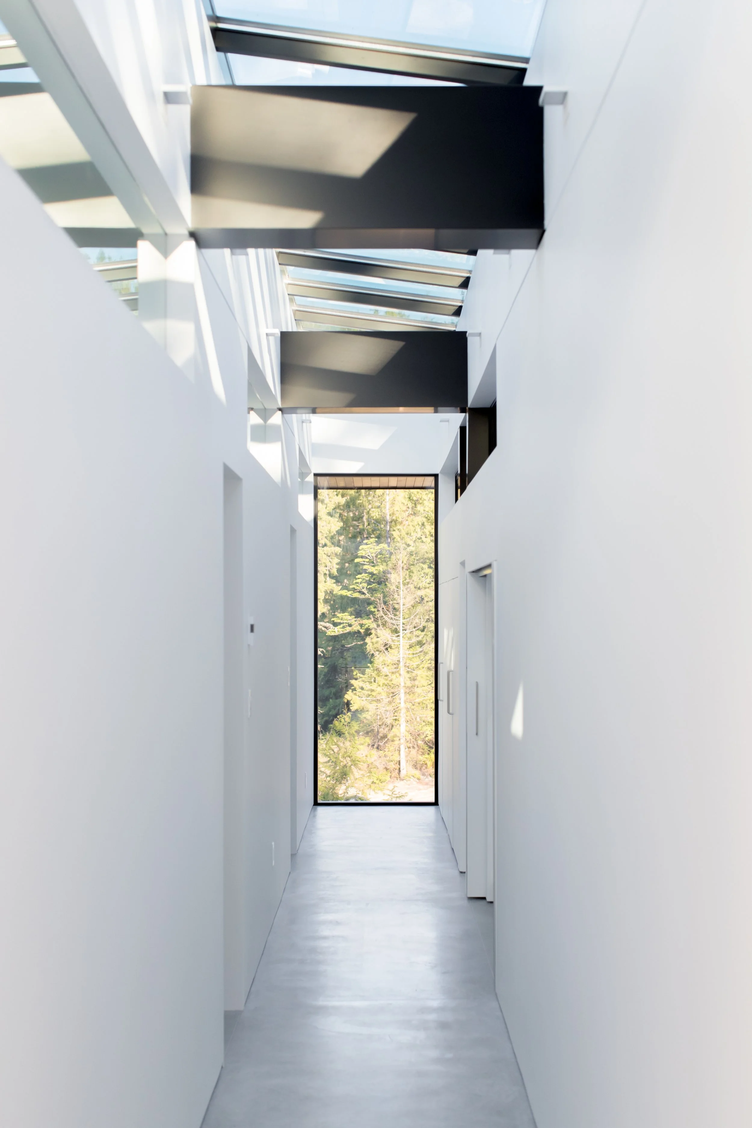 Modern narrow hallway with white walls, large skylights, and a glass door at the end showing trees outside.