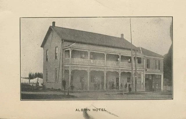 Cat_1905_Albion.jpg