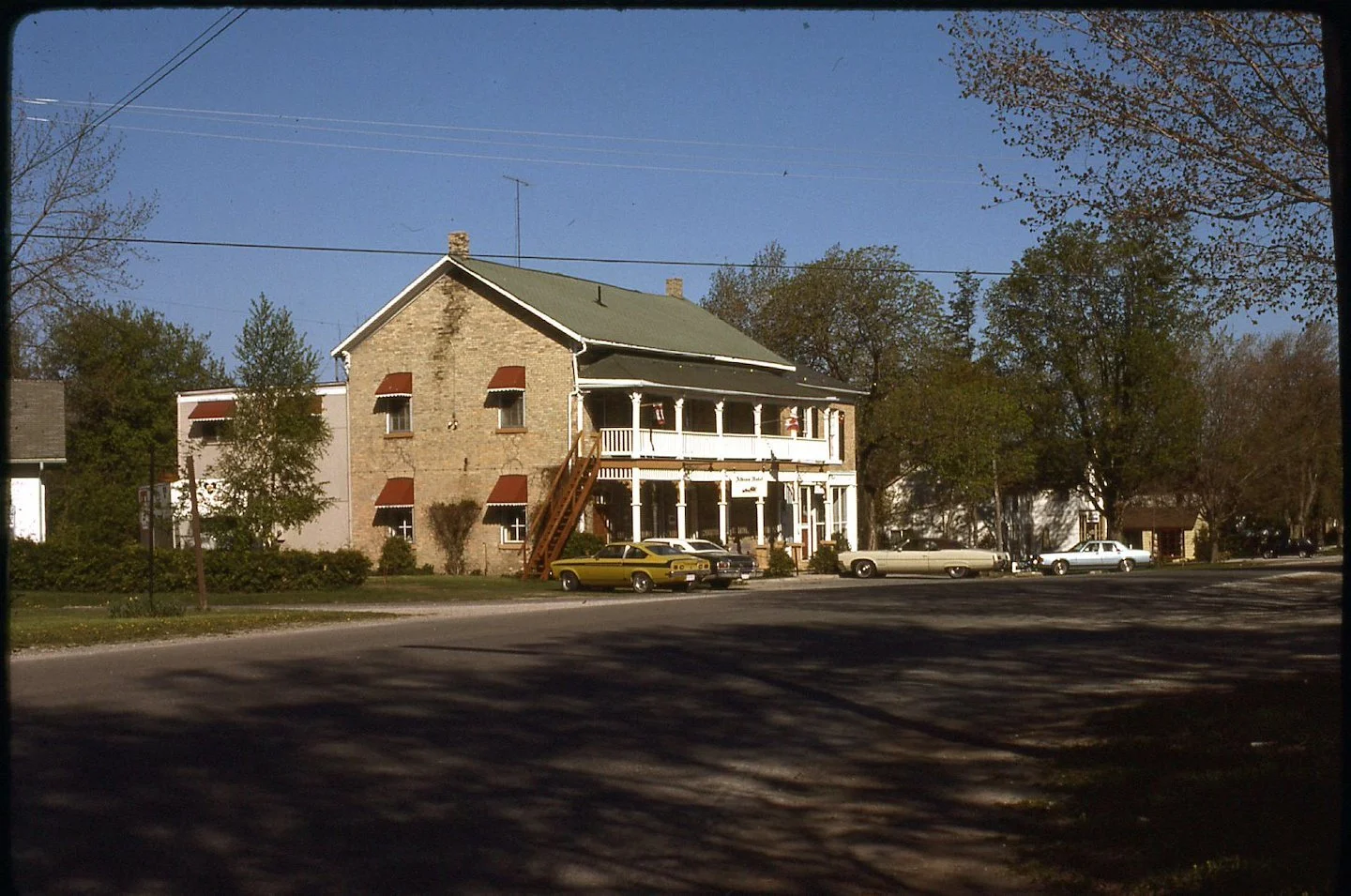 Cat_1977_Albion.jpg