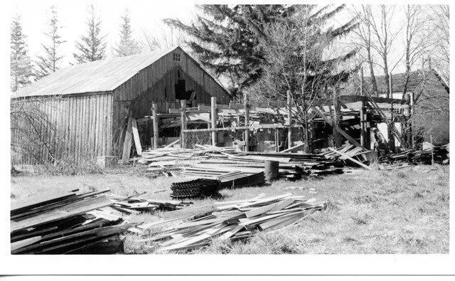 Cat_1951_River 5.jpg