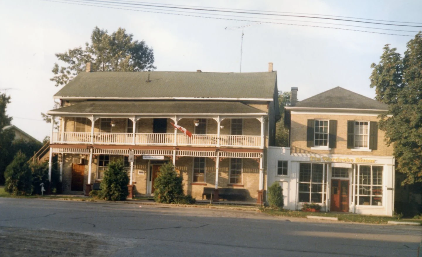 Cat_1857-2000_Albion.jpg