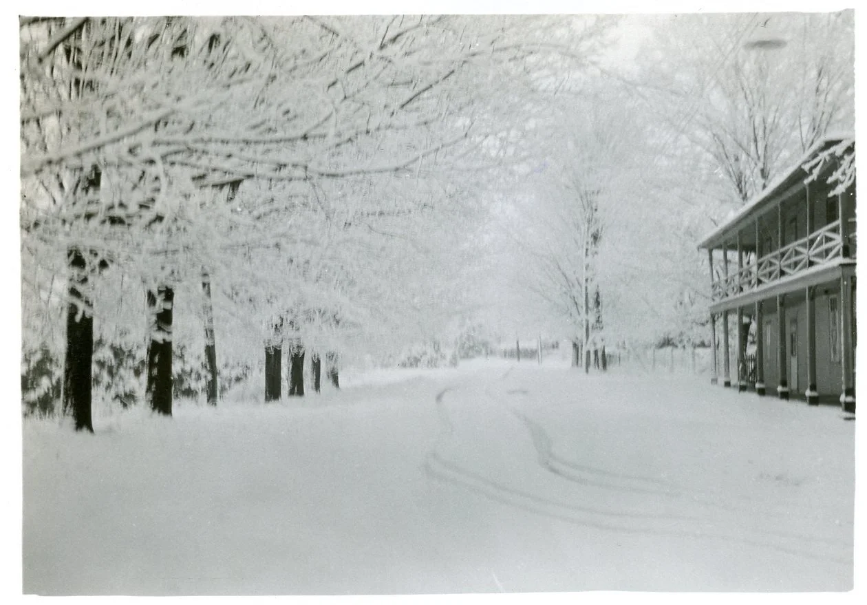 Cat_1920s_Bayfield Terrace.jpg