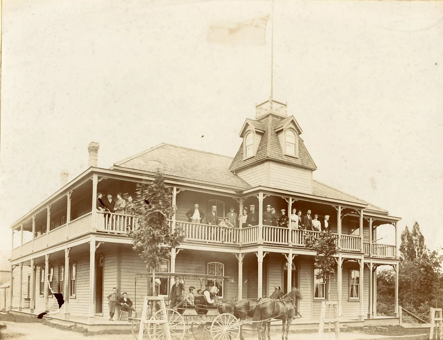 Cat_1923_Ritz.jpg