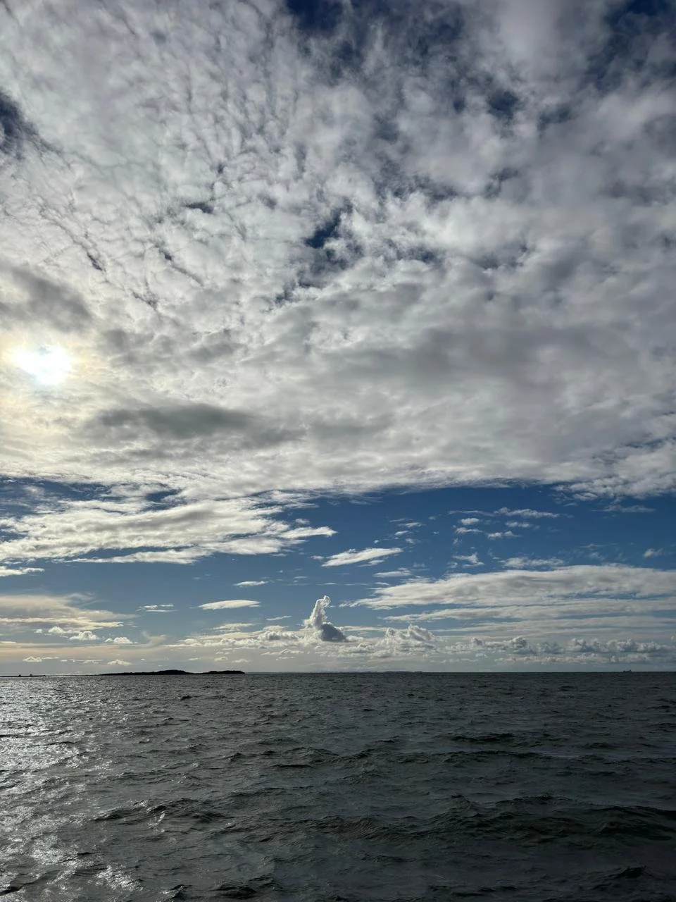 WhatsApp Image 2024-09-15 at 15.06.16.jpeg