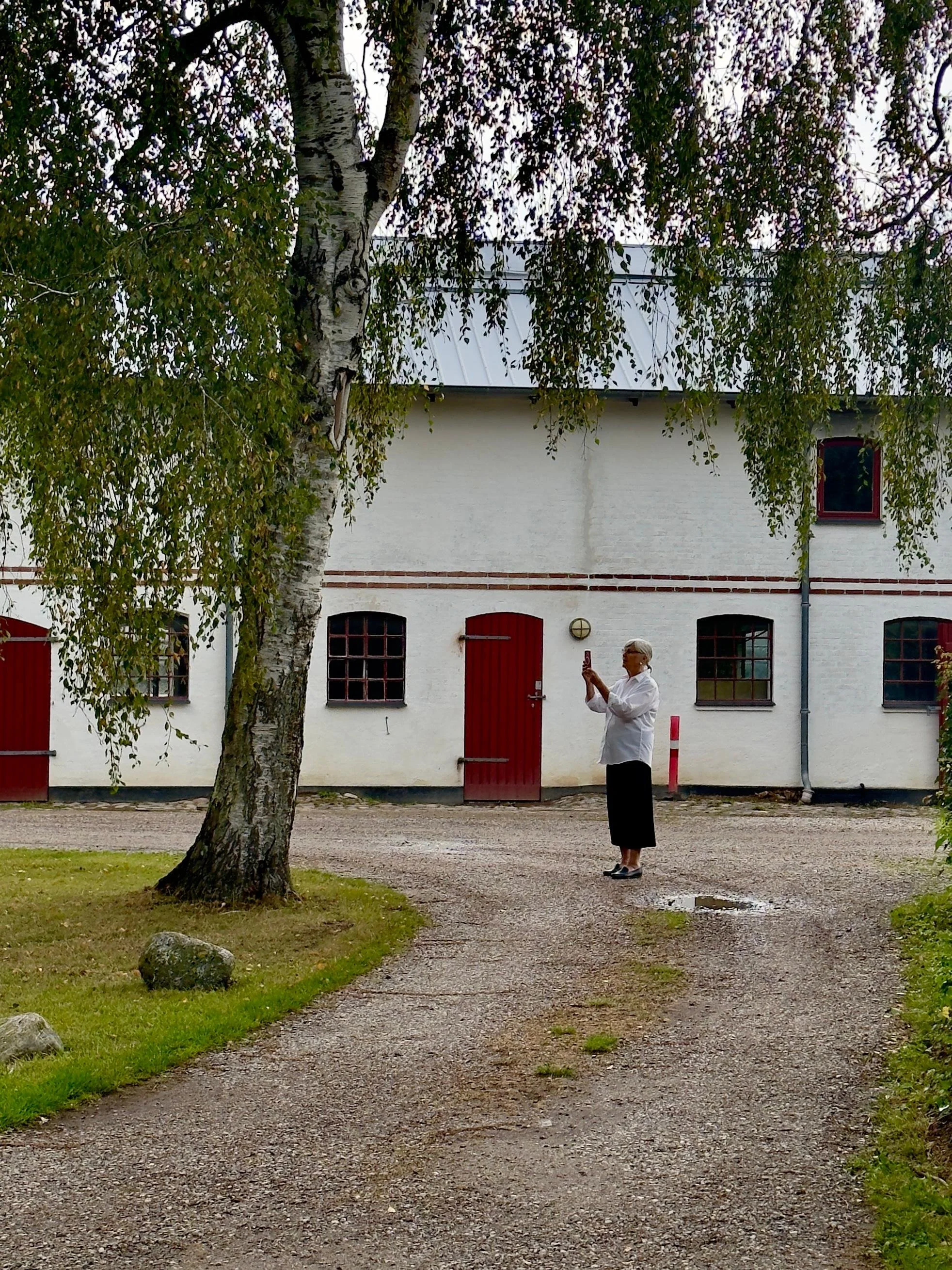 WhatsApp Image 2024-09-05 at 18.46.28 (2).jpeg