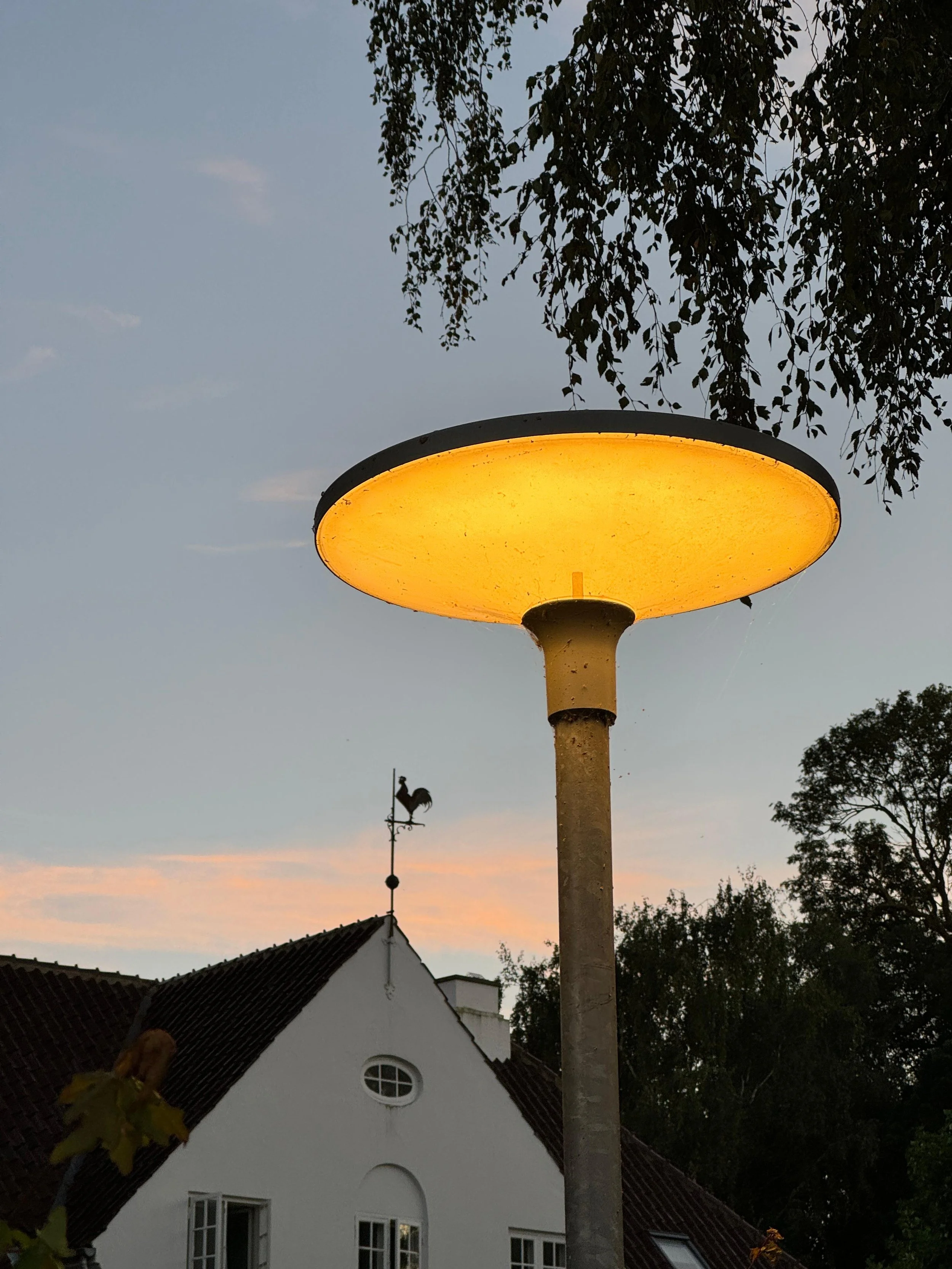 WhatsApp Image 2024-09-05 at 18.46.19.jpeg