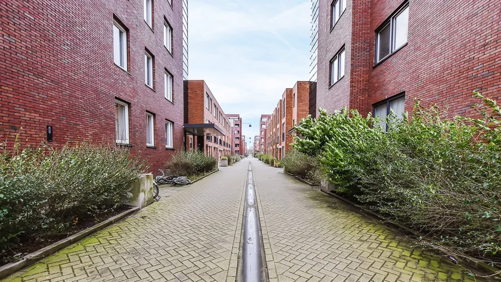 About Us — D1 Capital Group