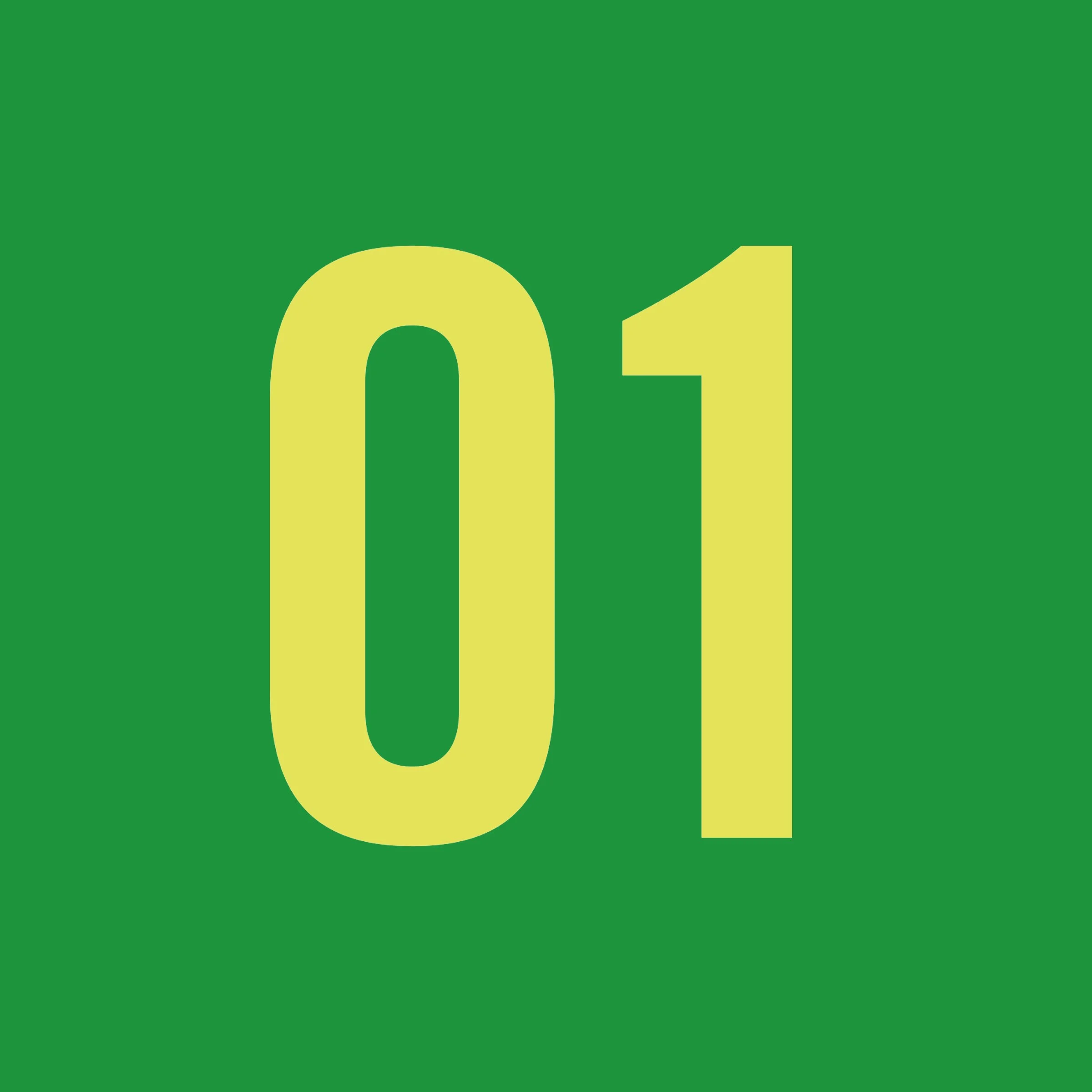 DEL MAR_Closeup 01.jpg