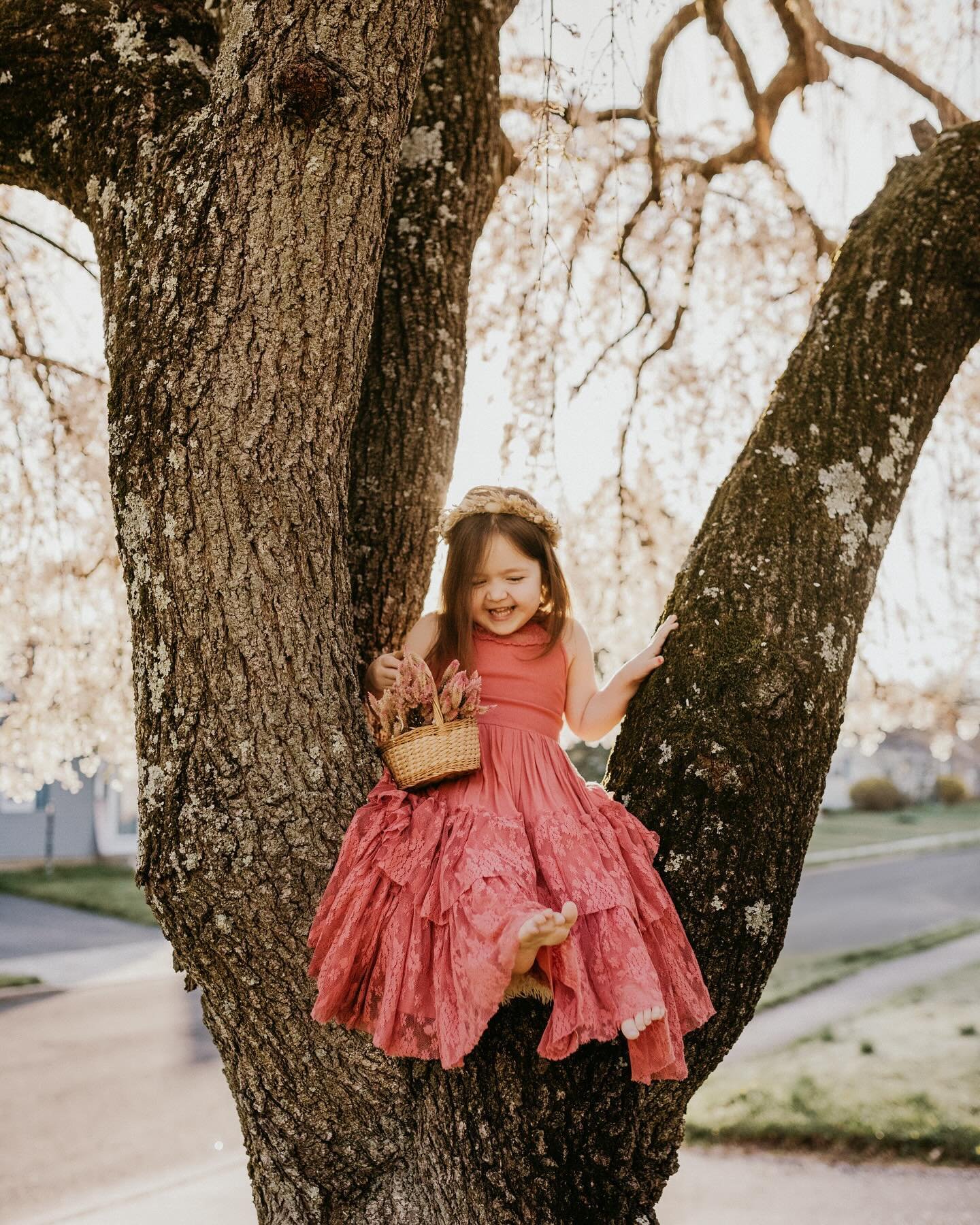 A little redo of a pose I did with my favorite tree and my sweet girl back in 2021. She&rsquo;s finally big enough to sit up there by herself. 
.
.⠀⠀⠀⠀⠀⠀⠀
#theartofchildhood #childhoodwonders #dearphotographer #childhoodofnostalgia #tinybigadventure 