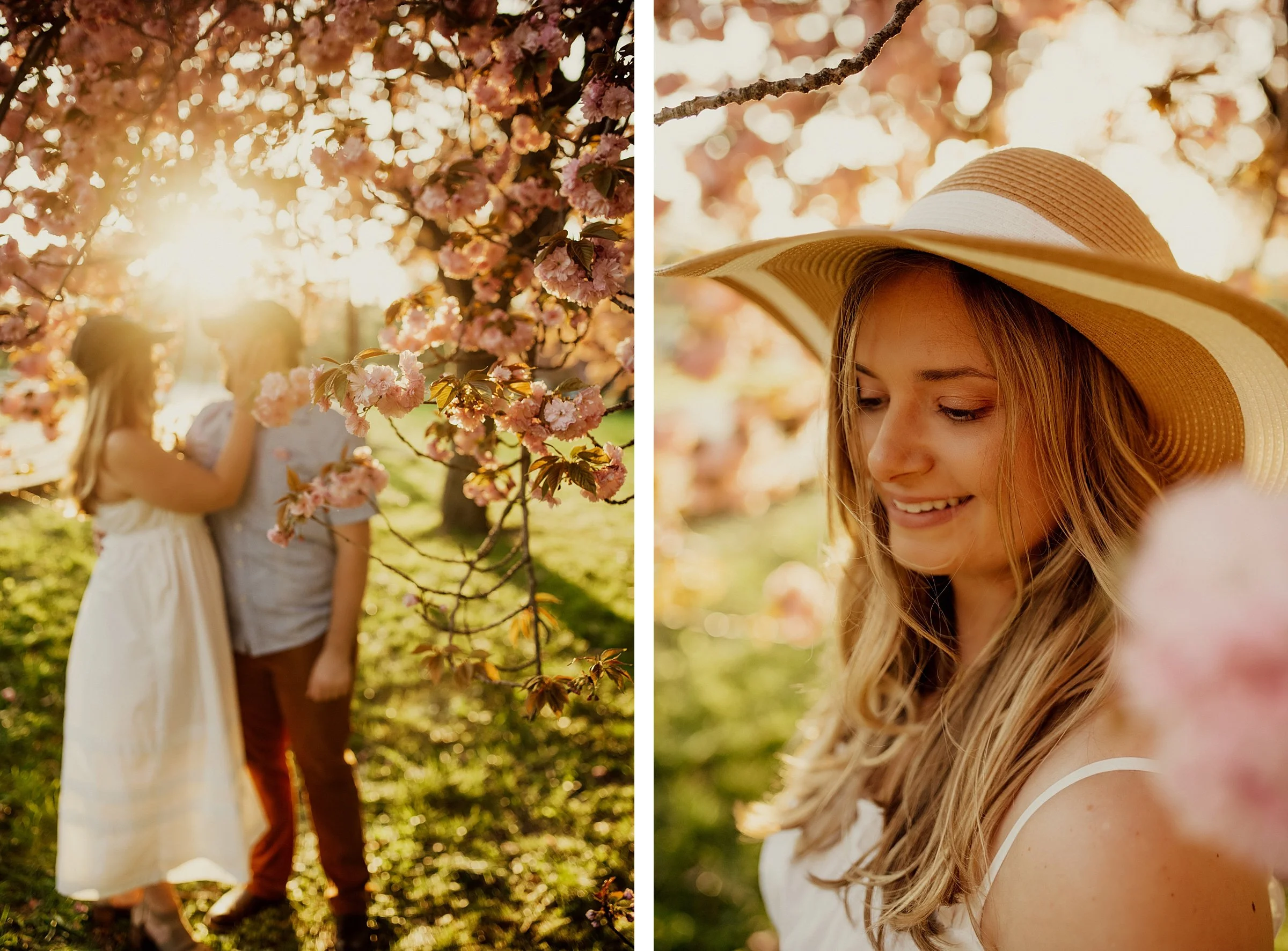 cherryblossom24.jpg