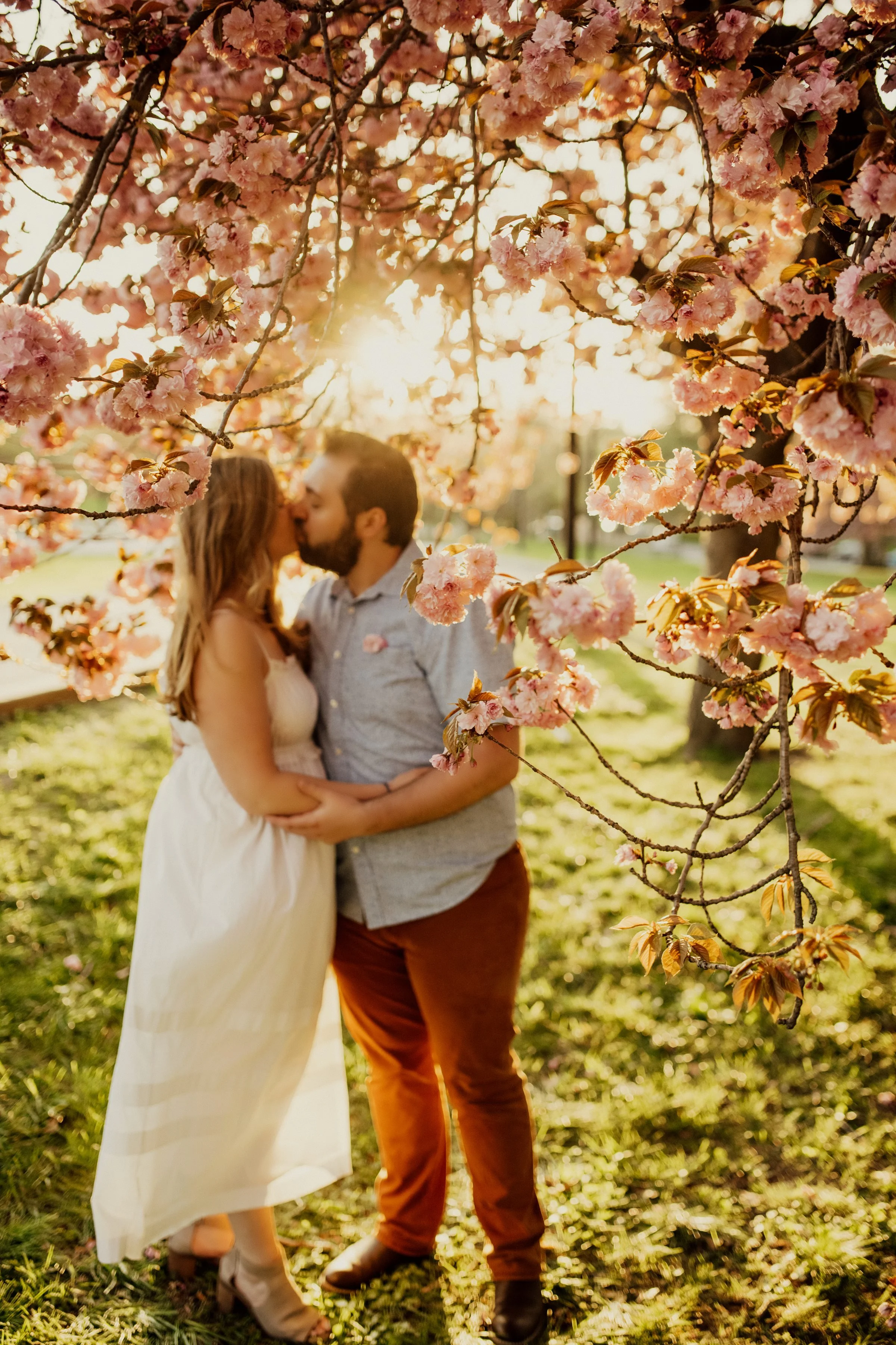 cherryblossom26.jpg