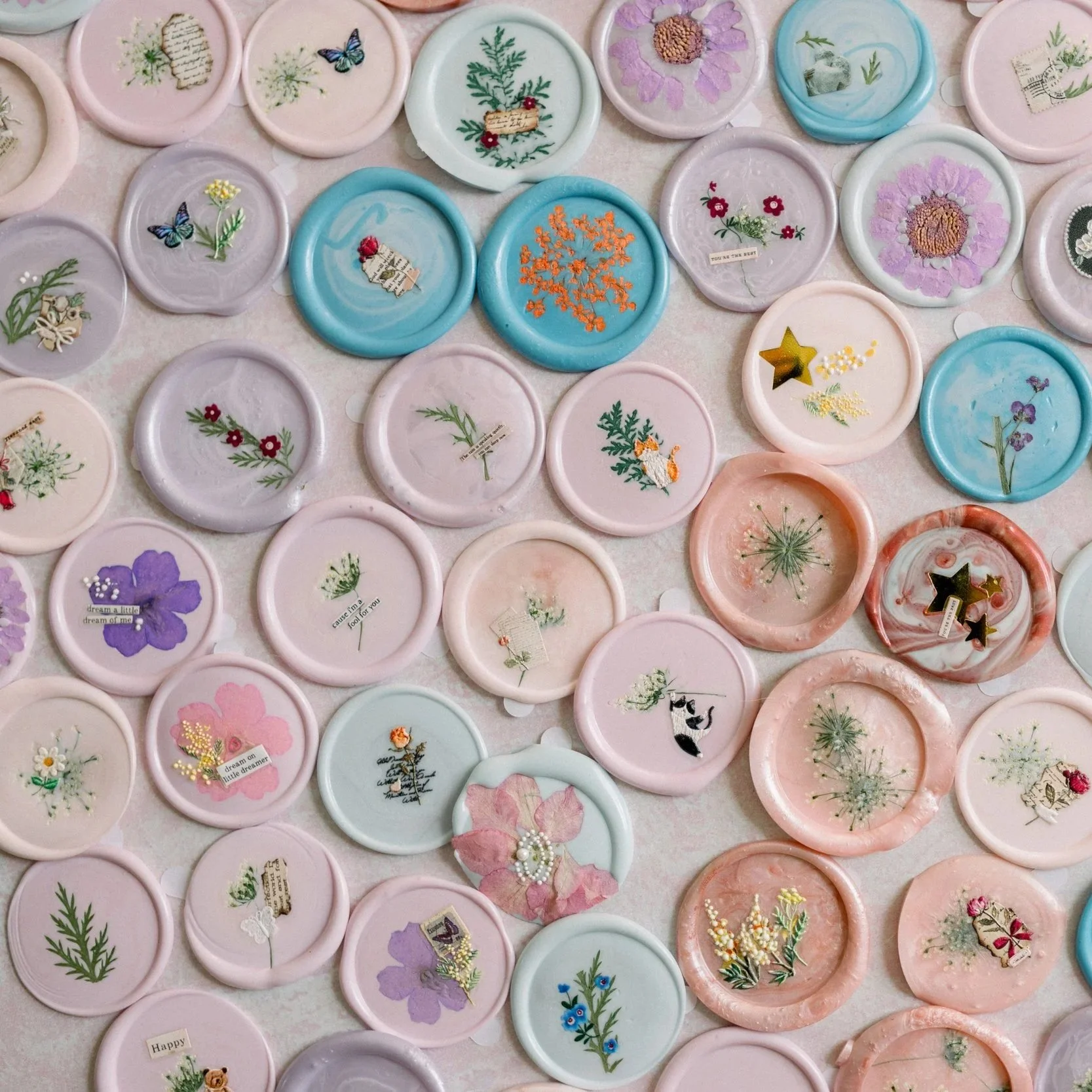 june_05_2025_0014.jpg (Copy)